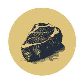 Graphic Illustration of a Ribeye Steak