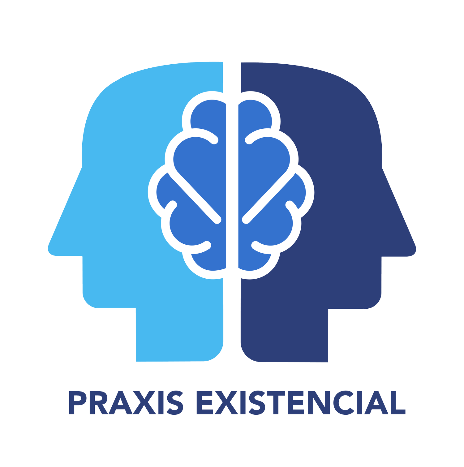 Praxis Existencial