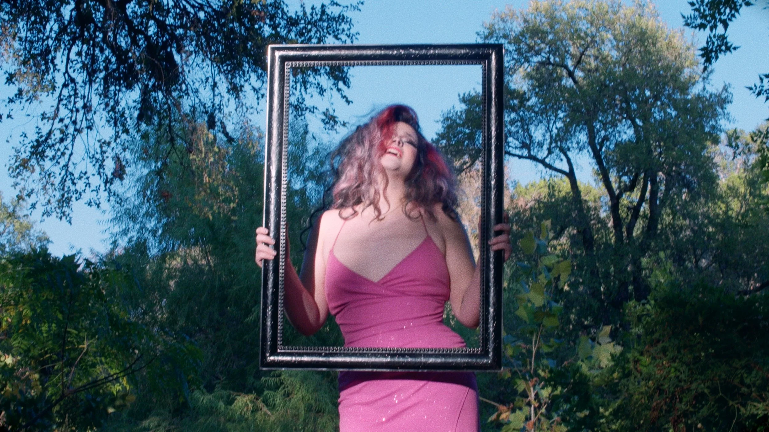 BIRD IN THE MIRROR