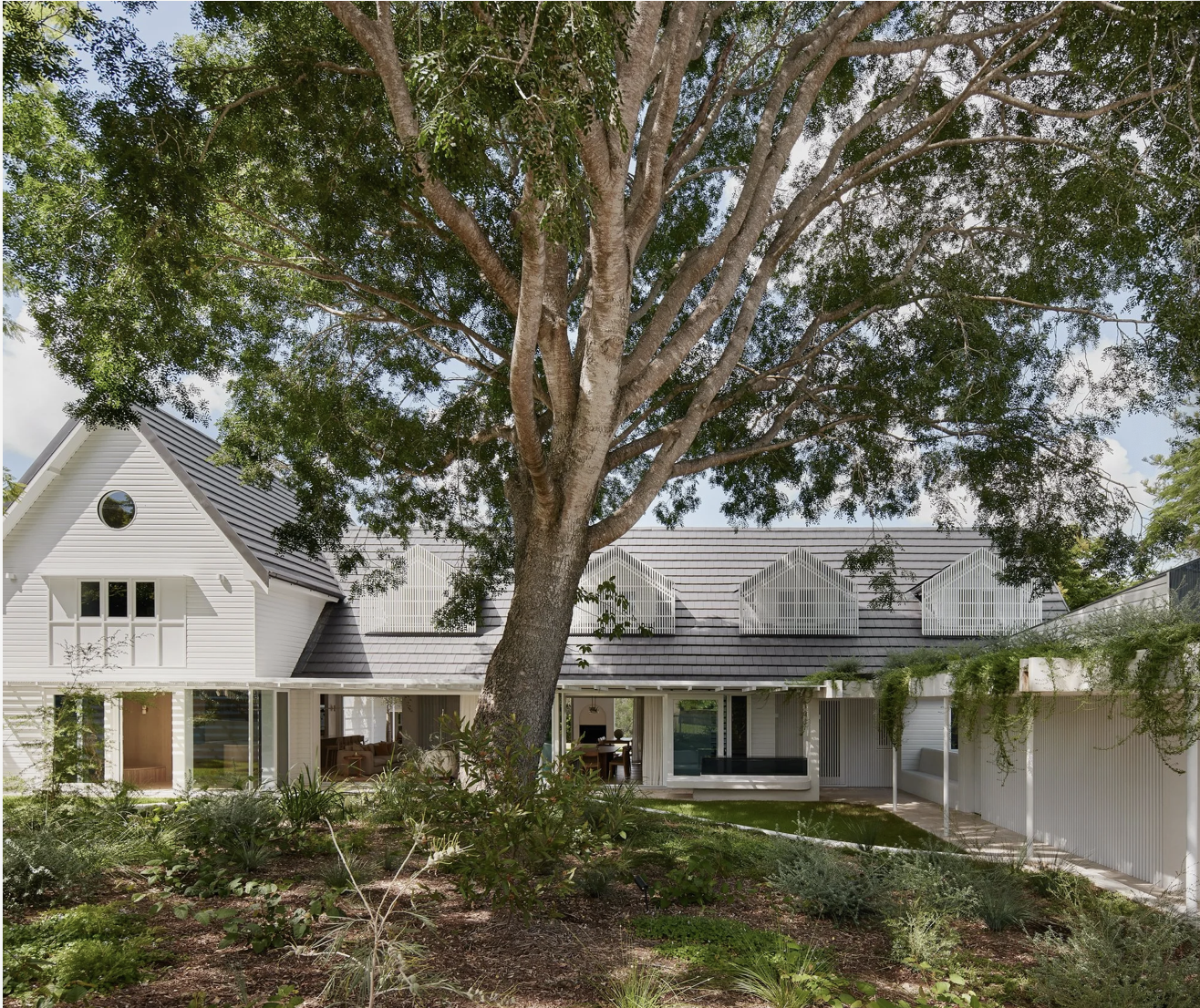 Modern white house with a large tree in front, featuring multiple dormer windows on the roof and a garden area with various plants.
