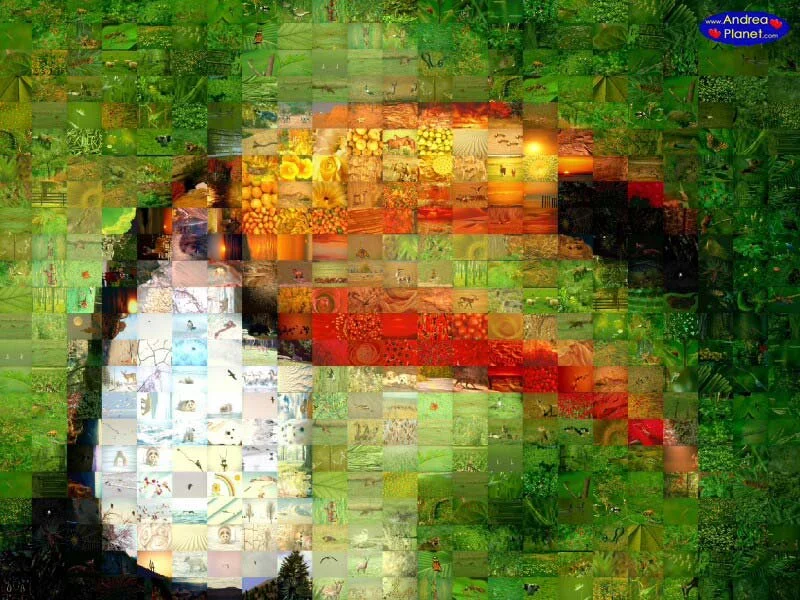 Modern image: mosaic of images that form a toucan