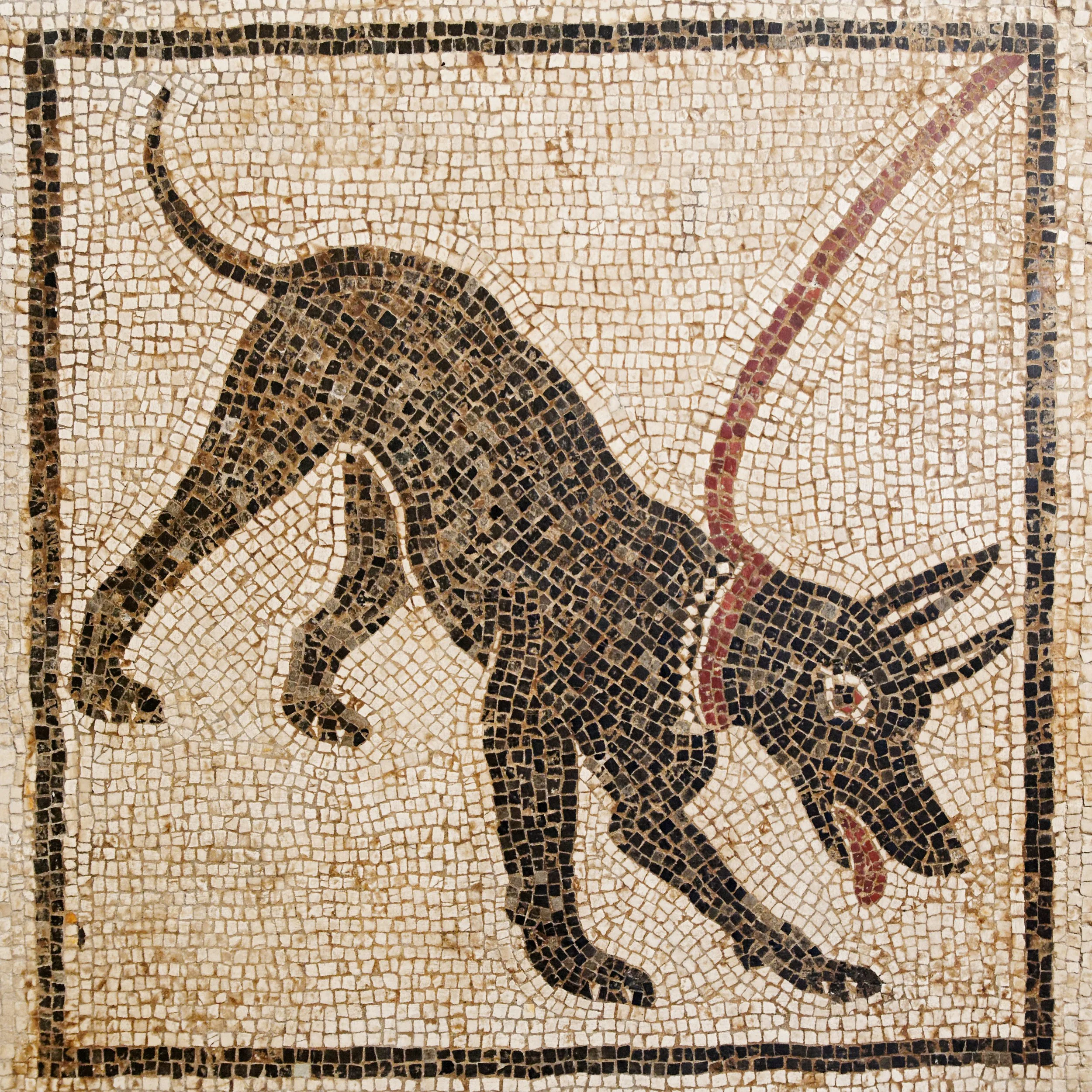 Ancient mosaic of a dog