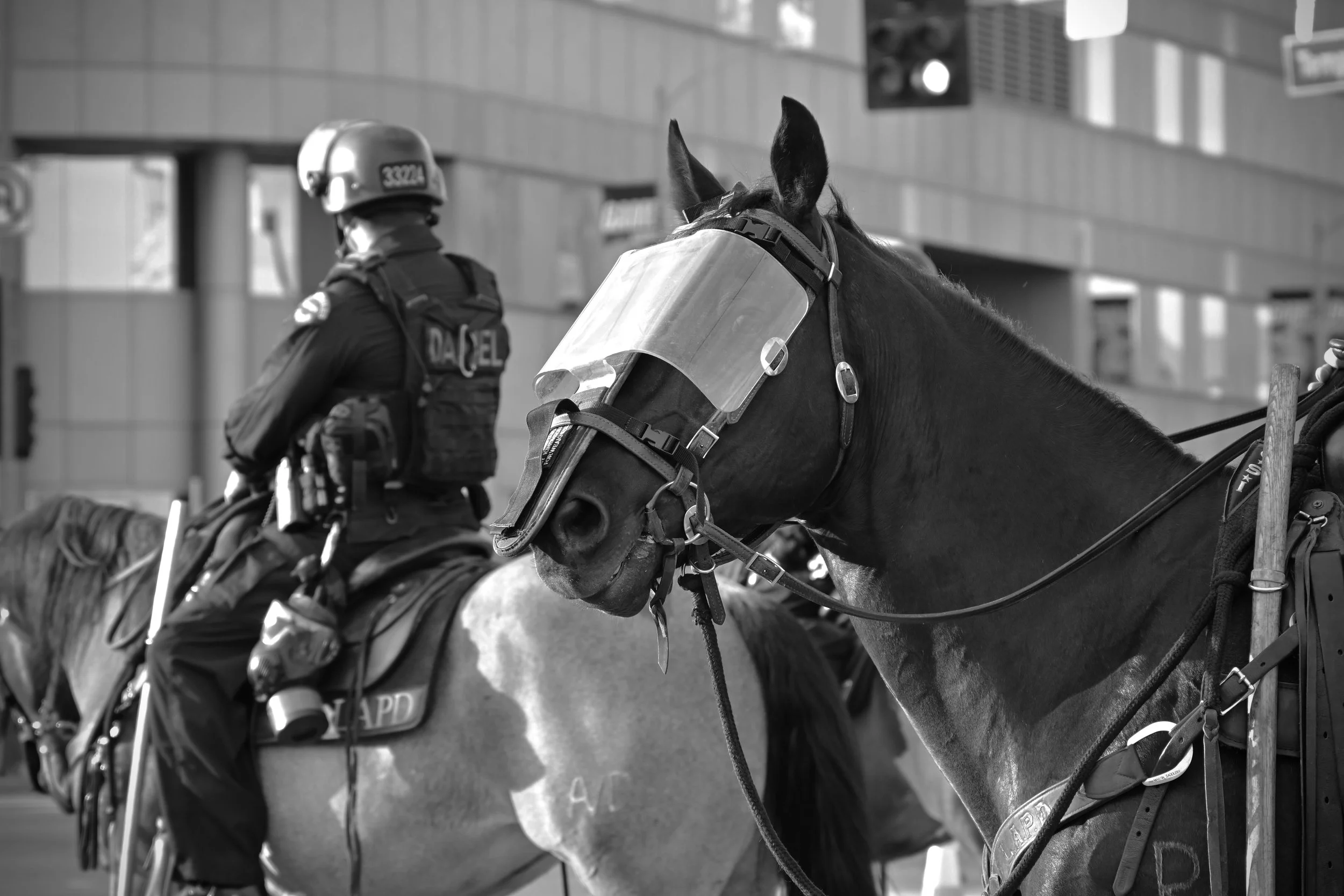 LAPD Mounted Officers. (Los Angeles, 2026)