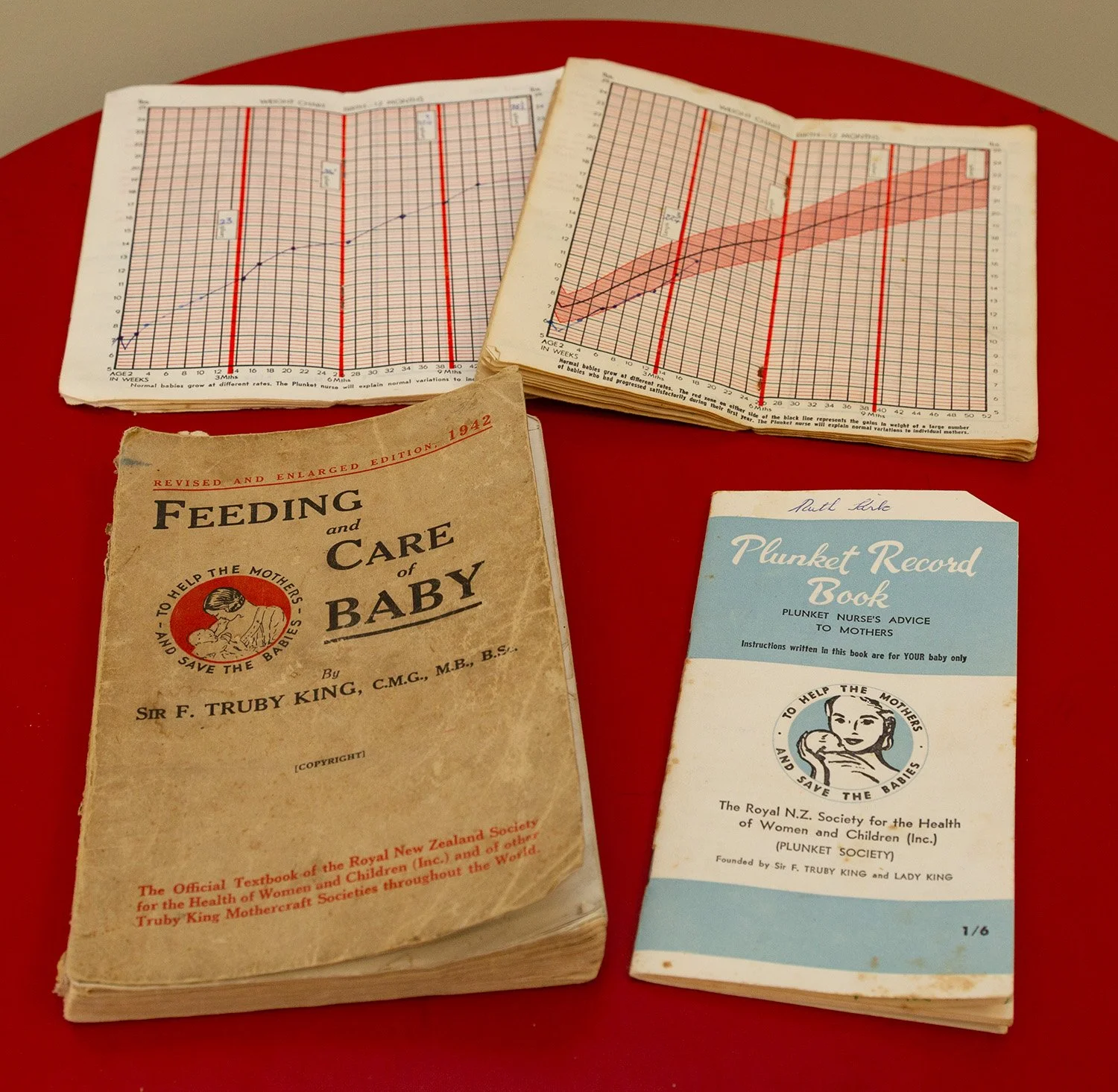 Old Plunket books on display at the exhibition to show where I had sourced the material for my artworks.