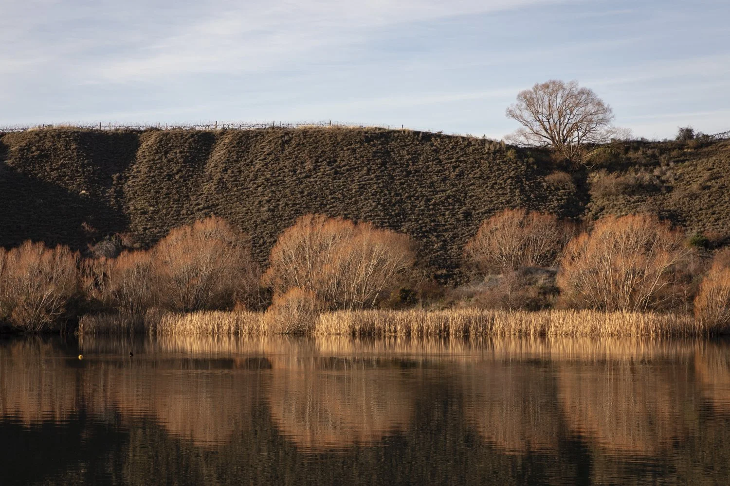 Bannockburn, Central Otago, New Zealand