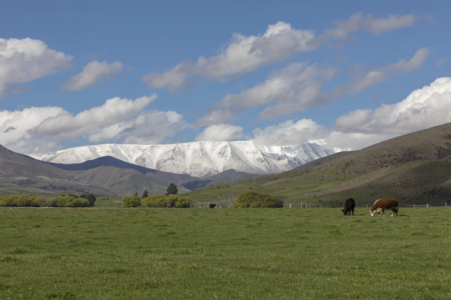 Lindis Pass, Central Otago, New Zealand