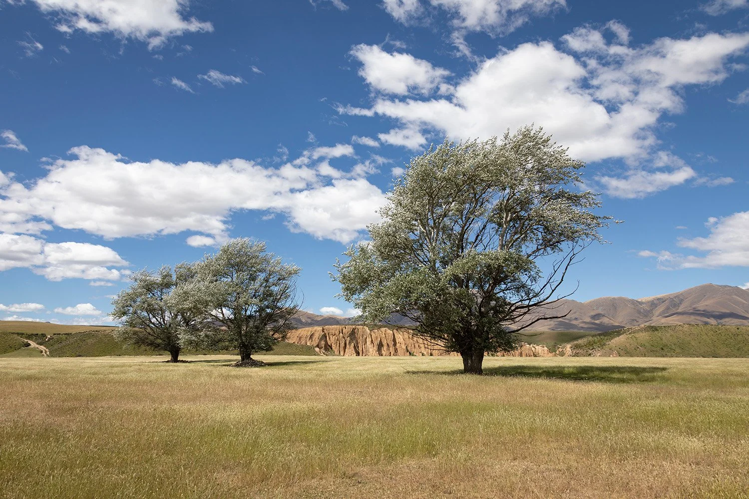 Kyeburn Diggings, Central Otago, New Zealand