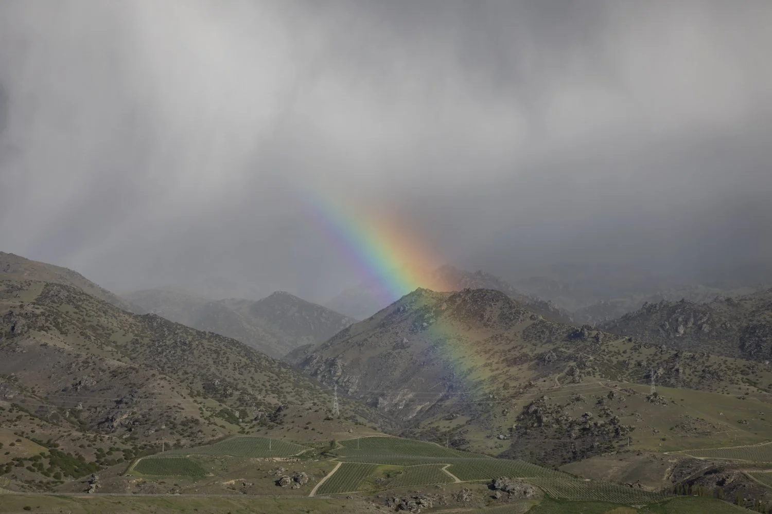 Cromwell, Central Otago, New Zealand