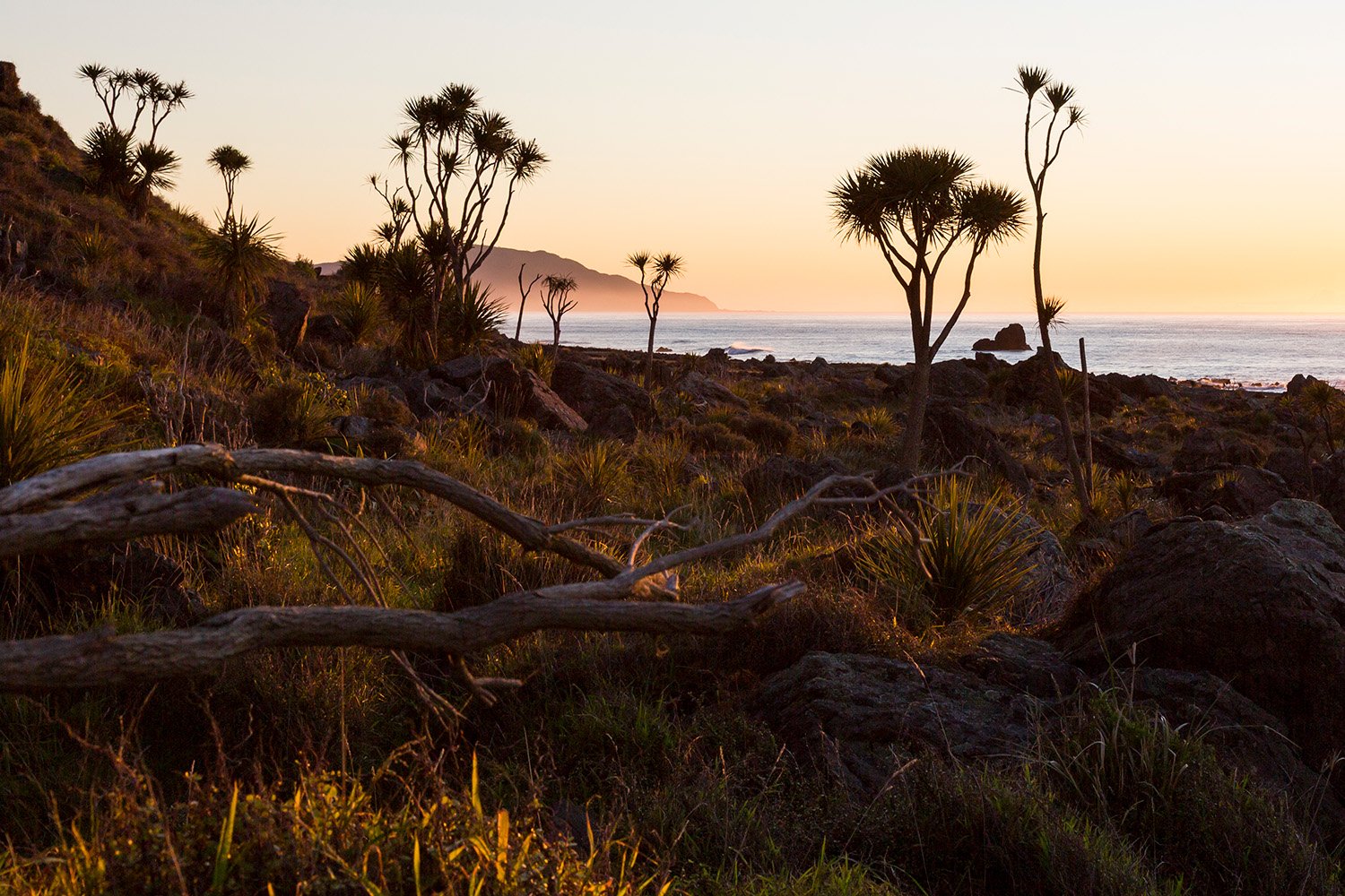 Cape Palliser, South Wairarapa, New Zealand