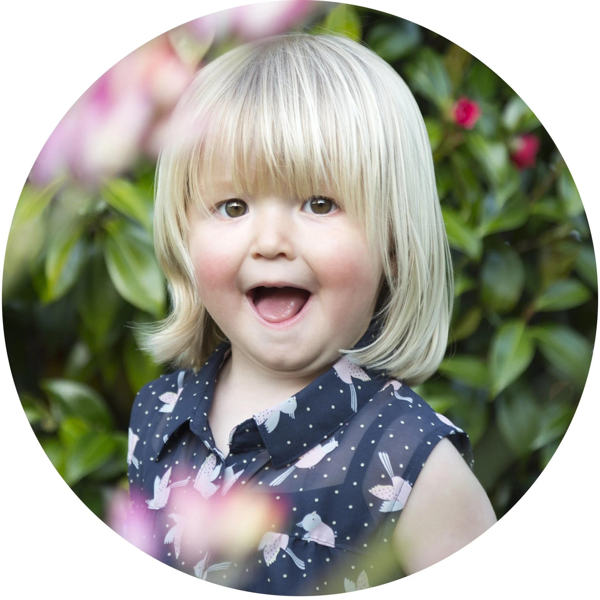 Portrait of a young girl in her grandparents garden by Elyse Childs Photography.