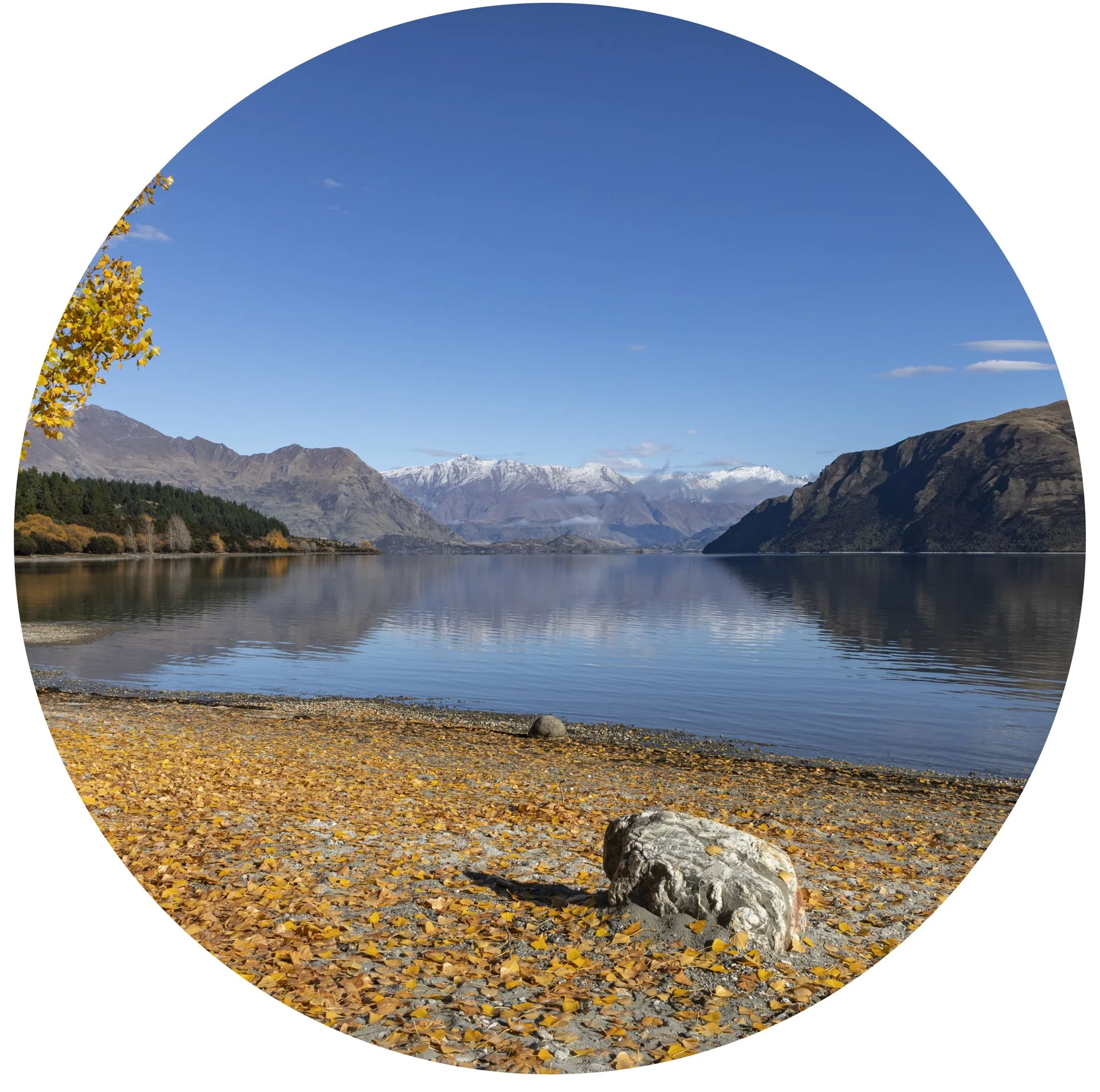 Dublin Bay, Wanaka in autumn by Elyse Childs Photography.