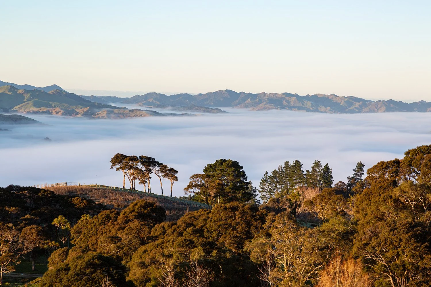 Admiral Hill, Wairarapa, New Zealand