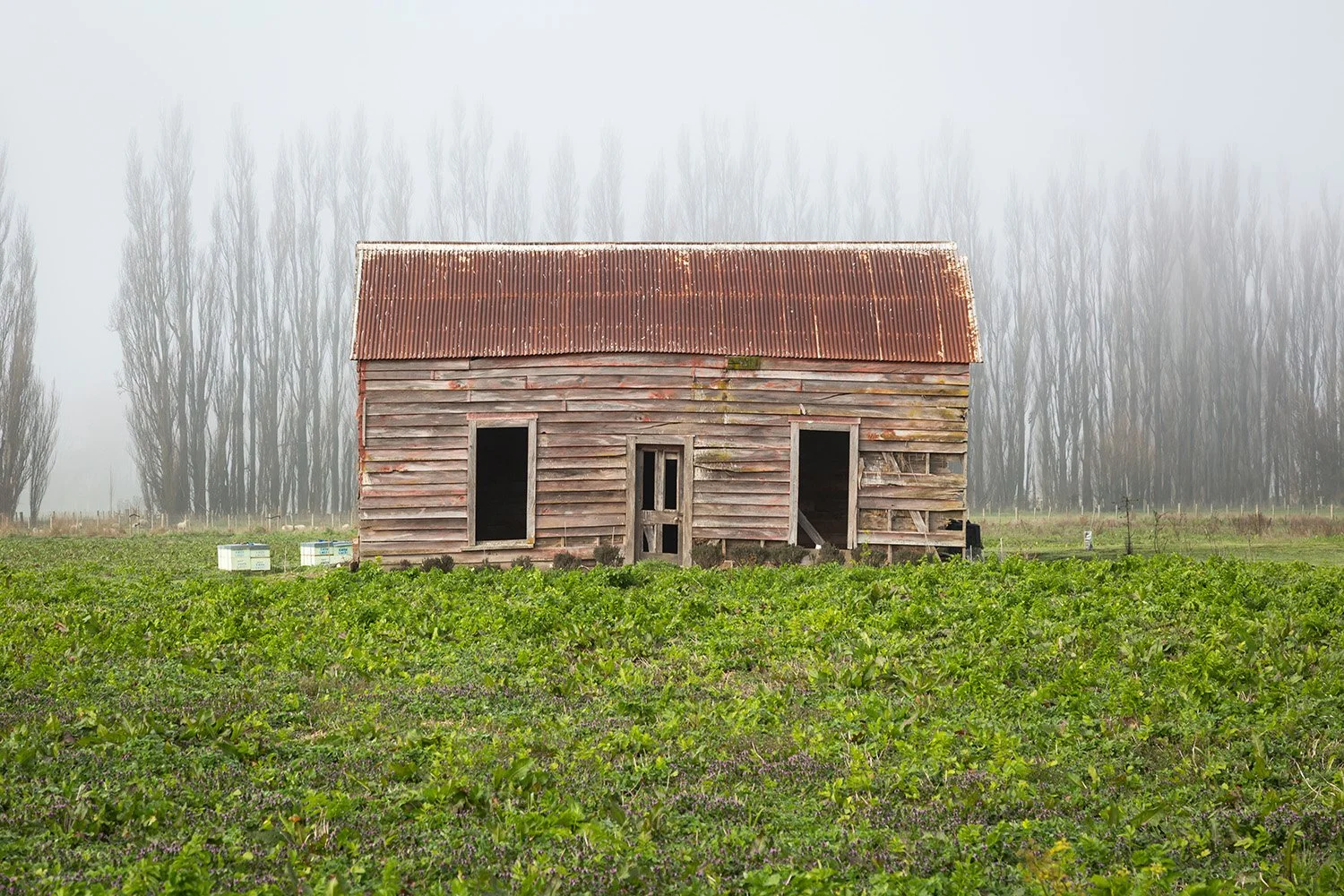 Greytown, Wairarapa, New Zealand