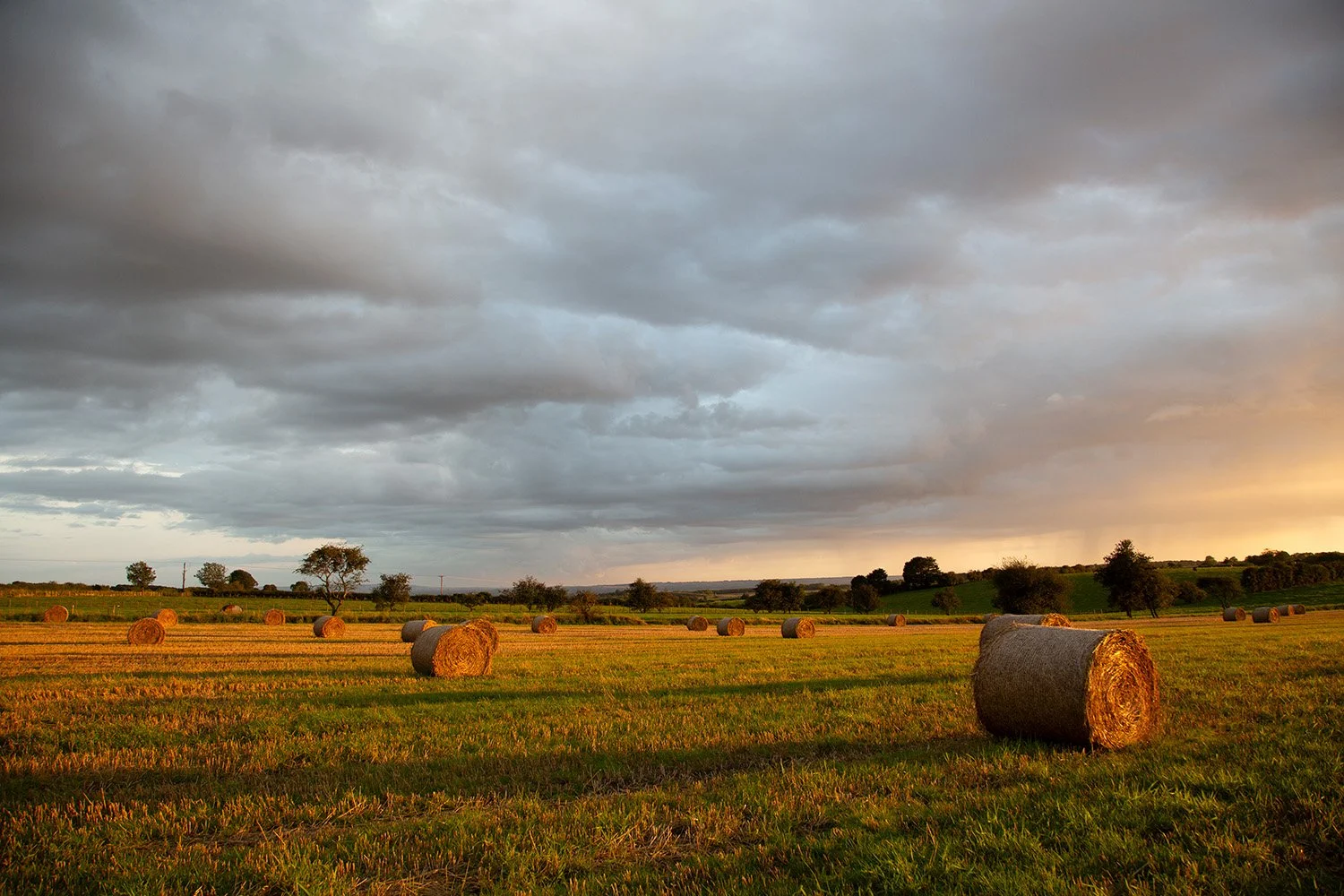 Newton-on-Rawcliffe, North Yorkshire, United Kingdom