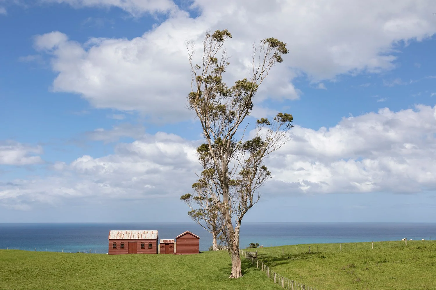 Matanaka Farm, Waikouaiti, Dunedin, New Zealand