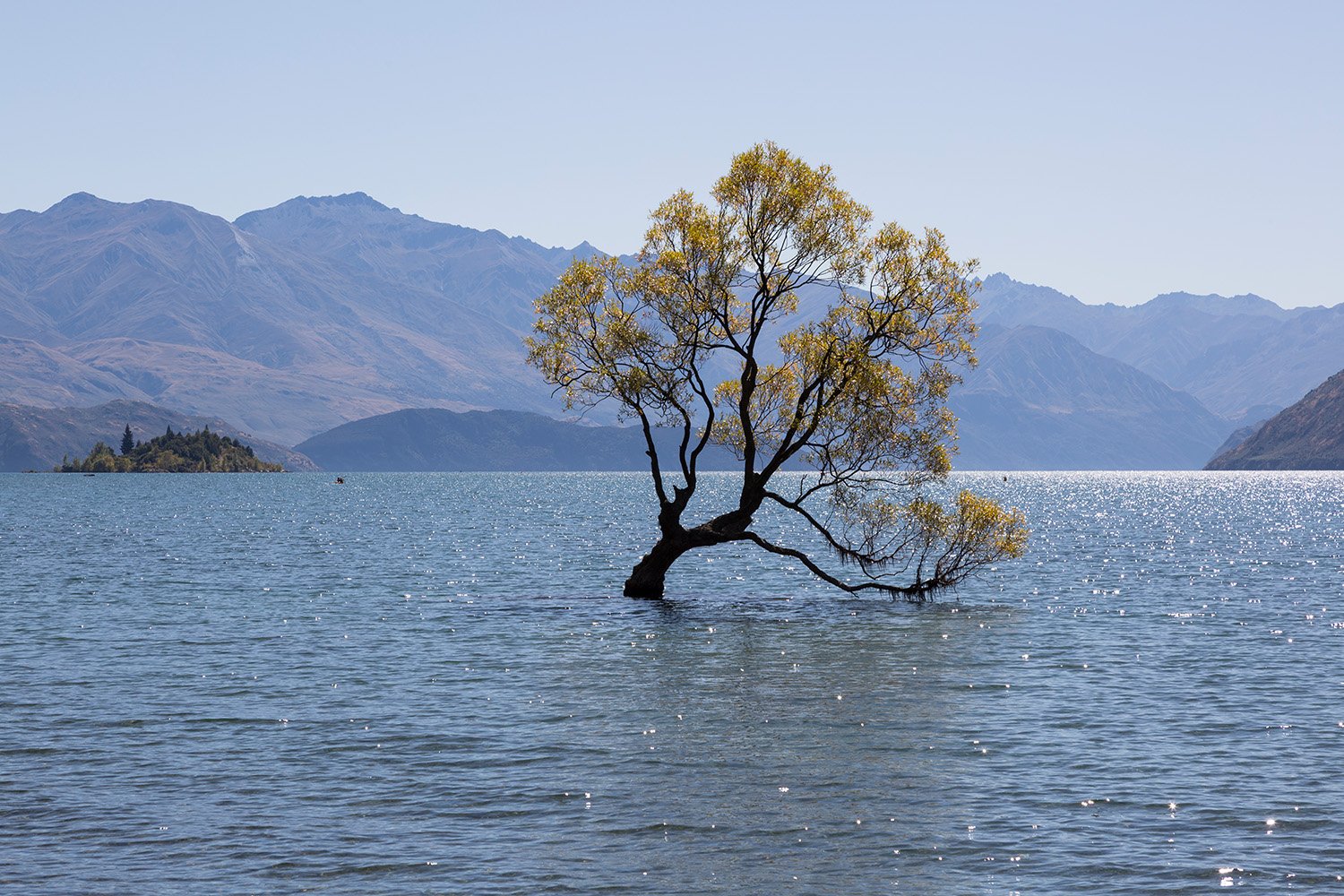 That Wanaka Tree, Wanaka, New Zealand
