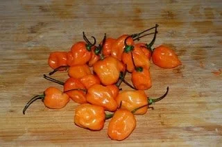 Habanero Sauce