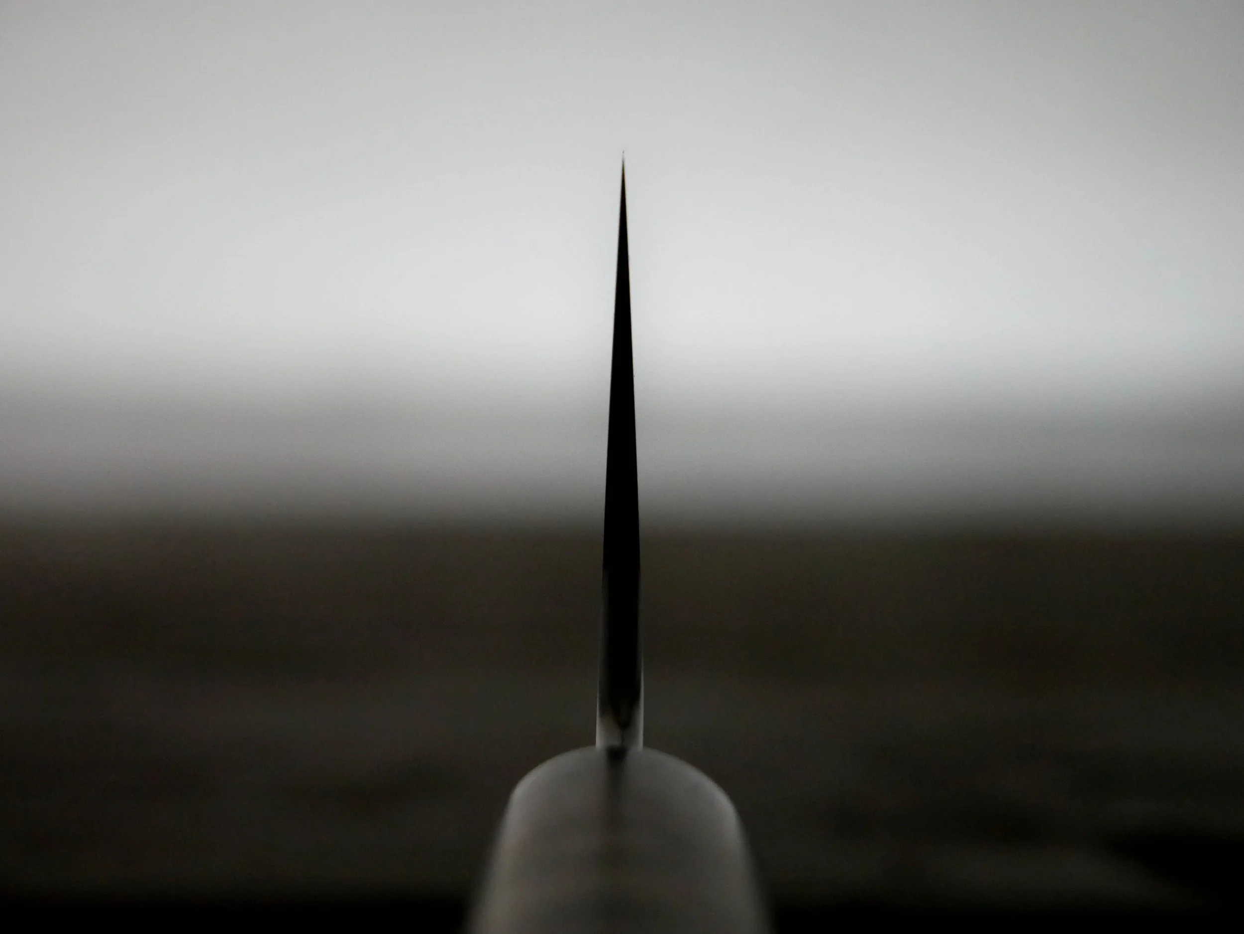 gyuto.535.JPG