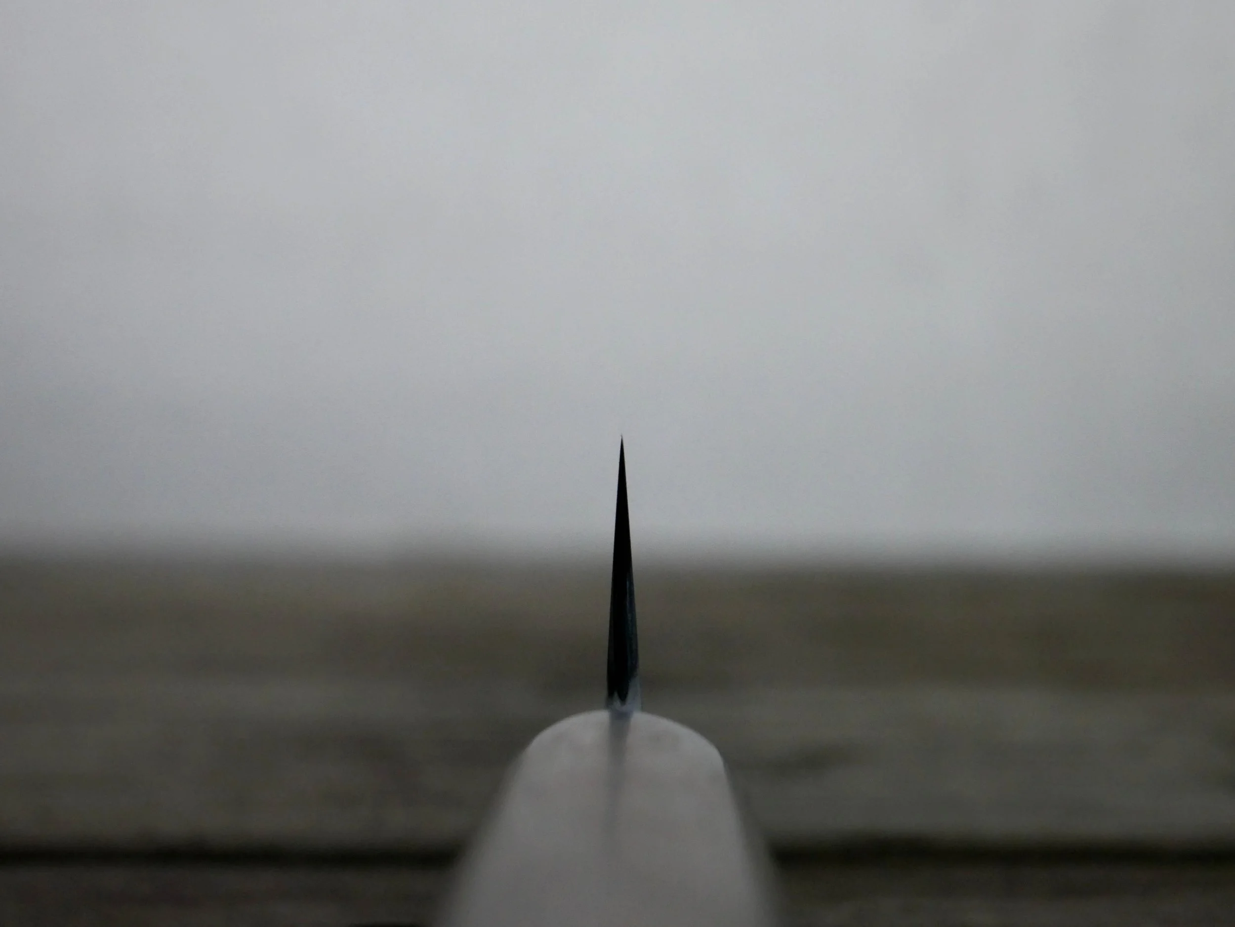 suji.405.JPG