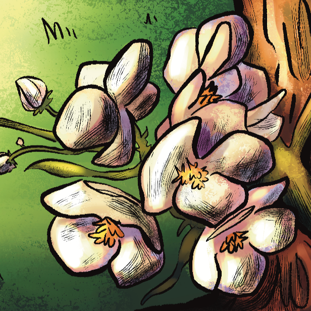 Ch. 1 Page 25