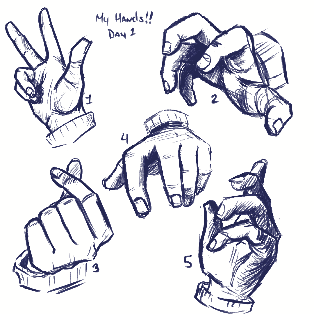 Hand Study