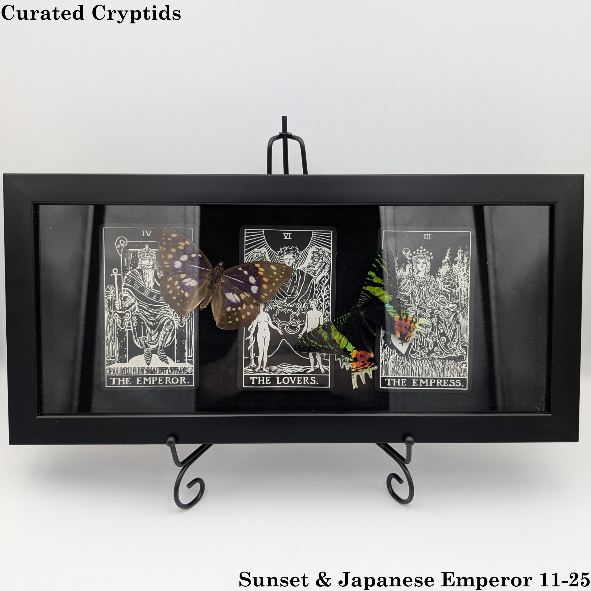 Sunset & Japanese Emperor