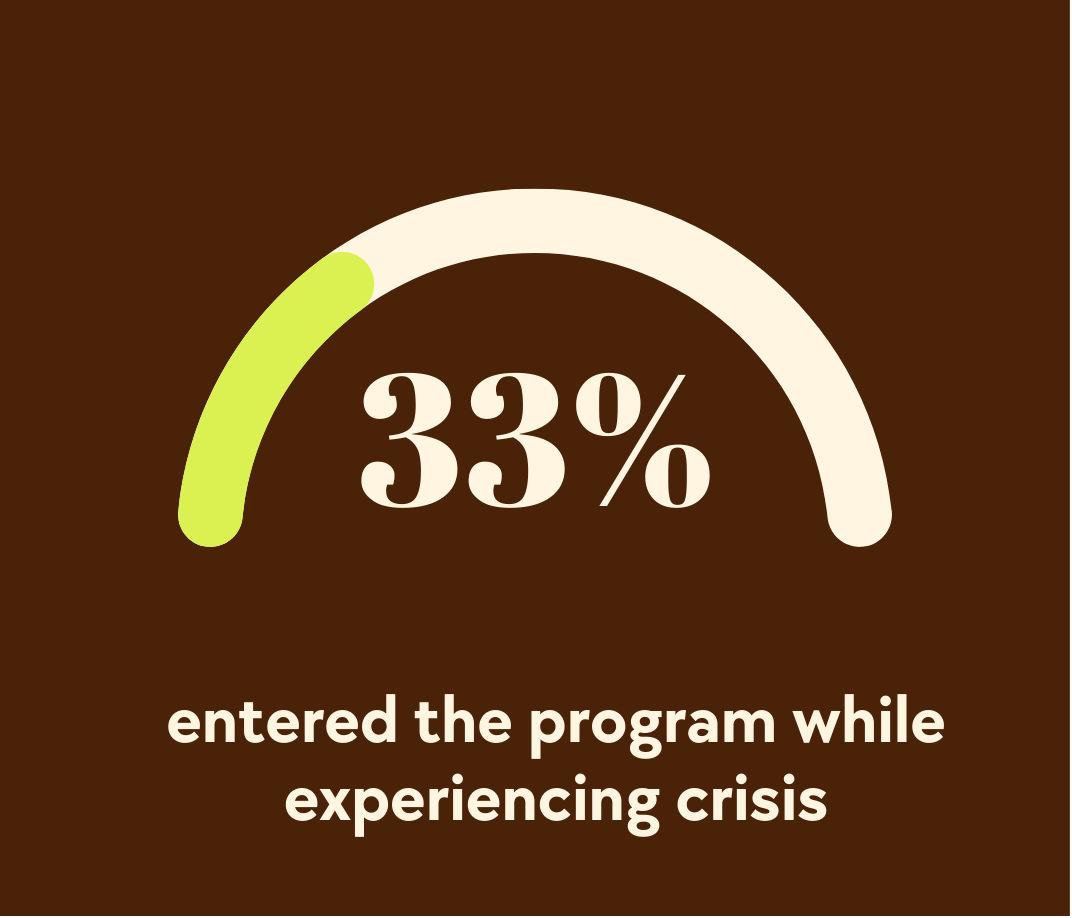 A gauge indicating 33% with text "entered the program while experiencing crisis" on a brown background.