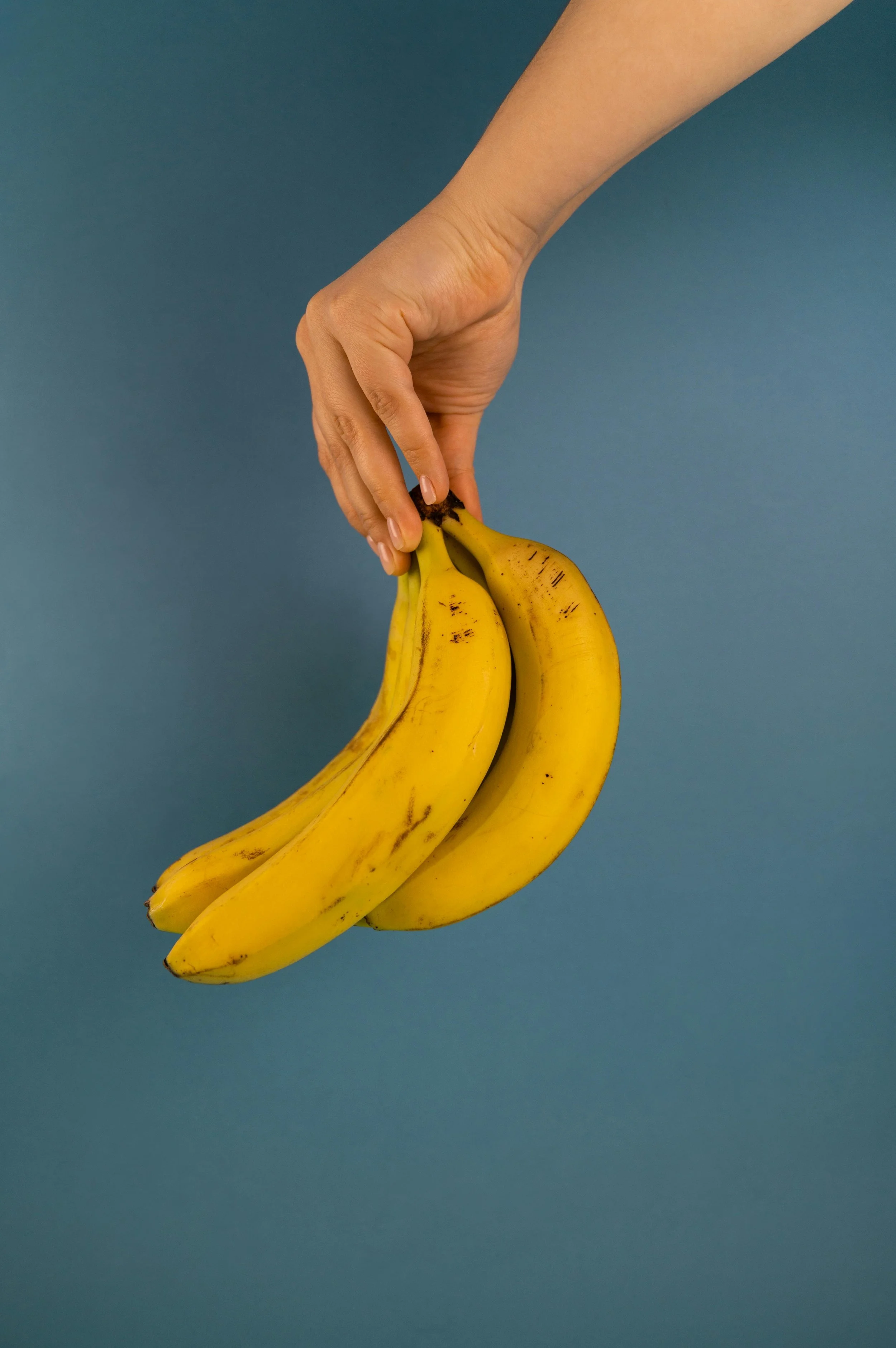 A hand holding a bunch of ripe bananas against a blue background.