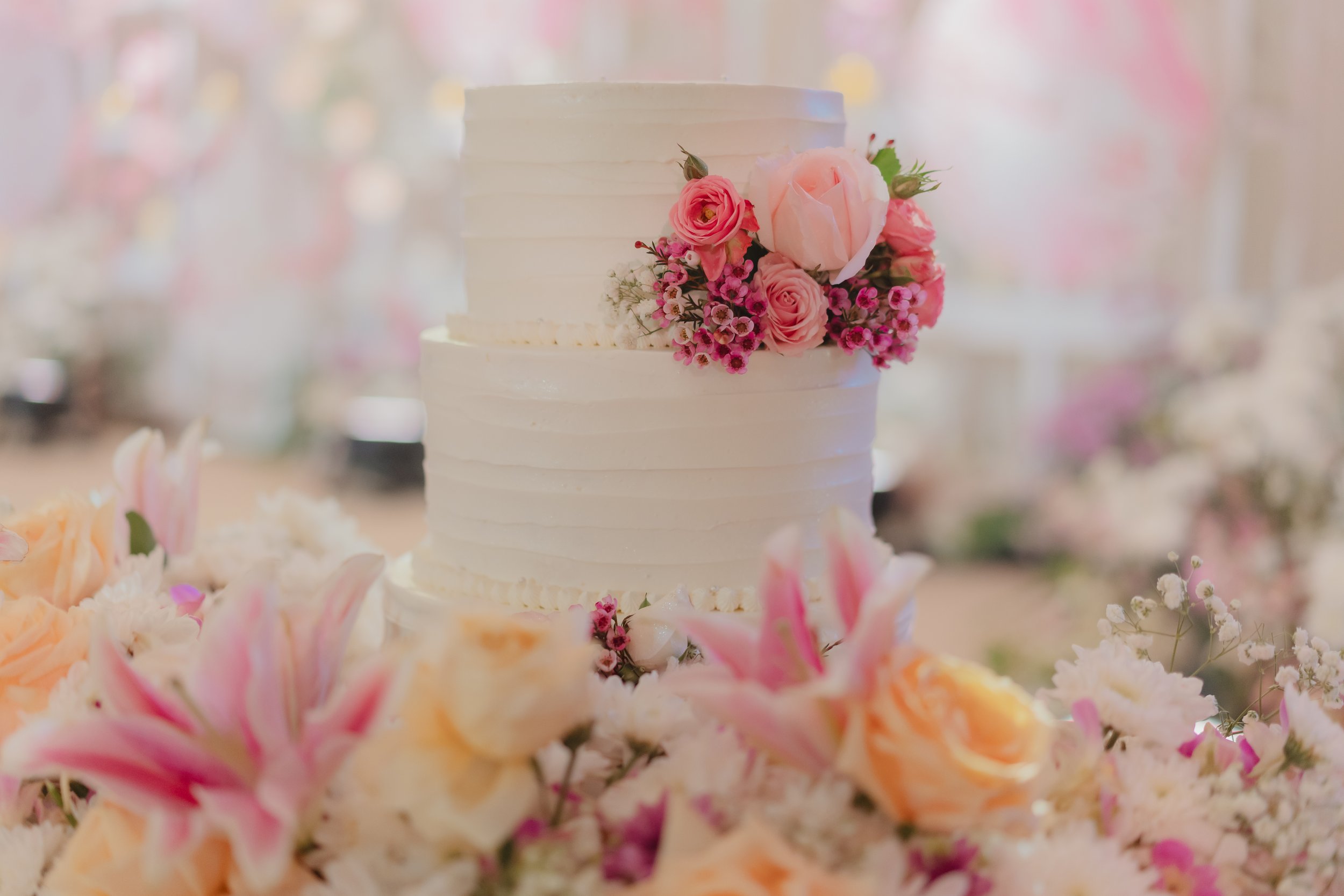 Reception-68.jpg