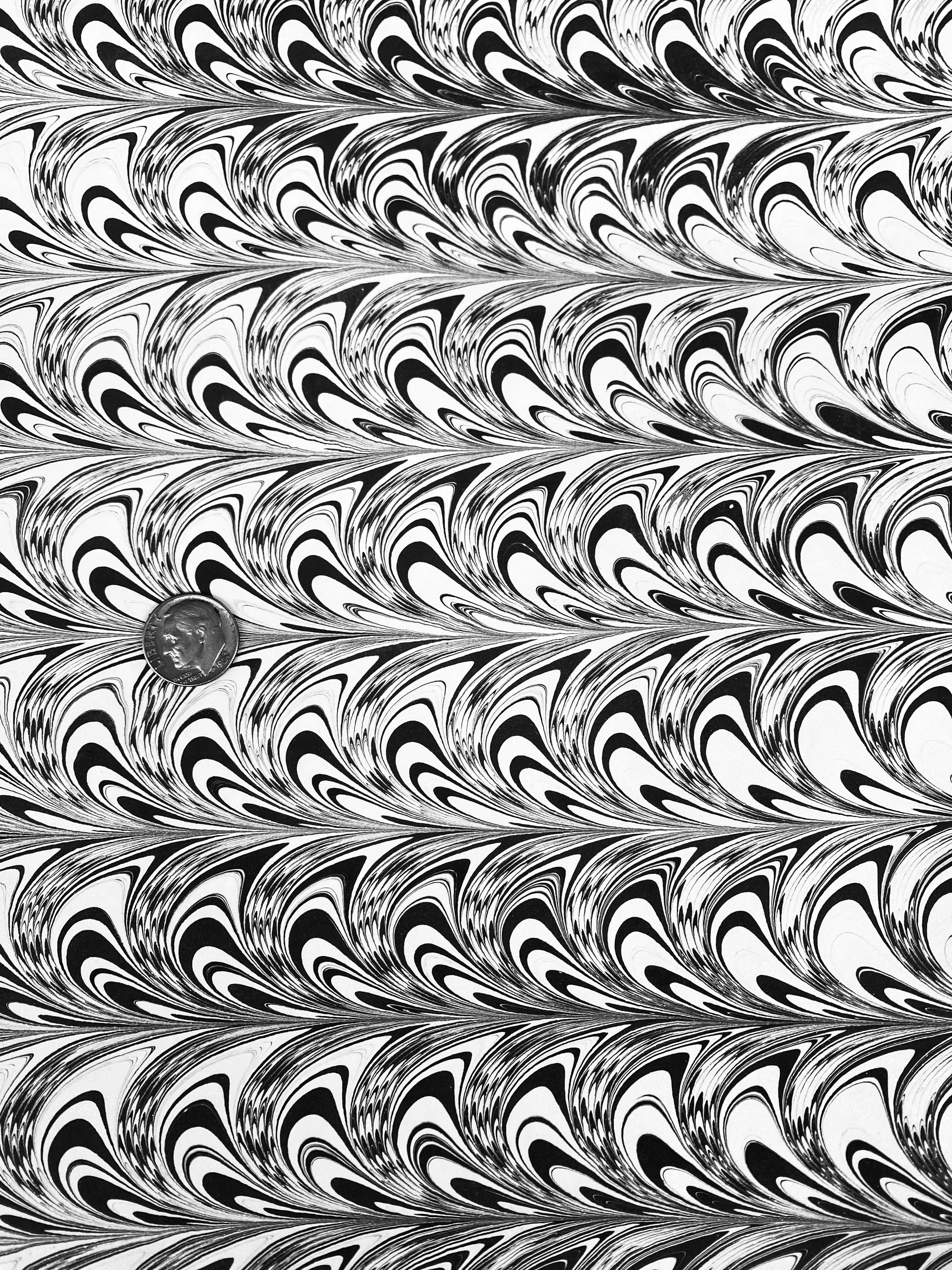 Italian Sisters Sails (6:0.5")