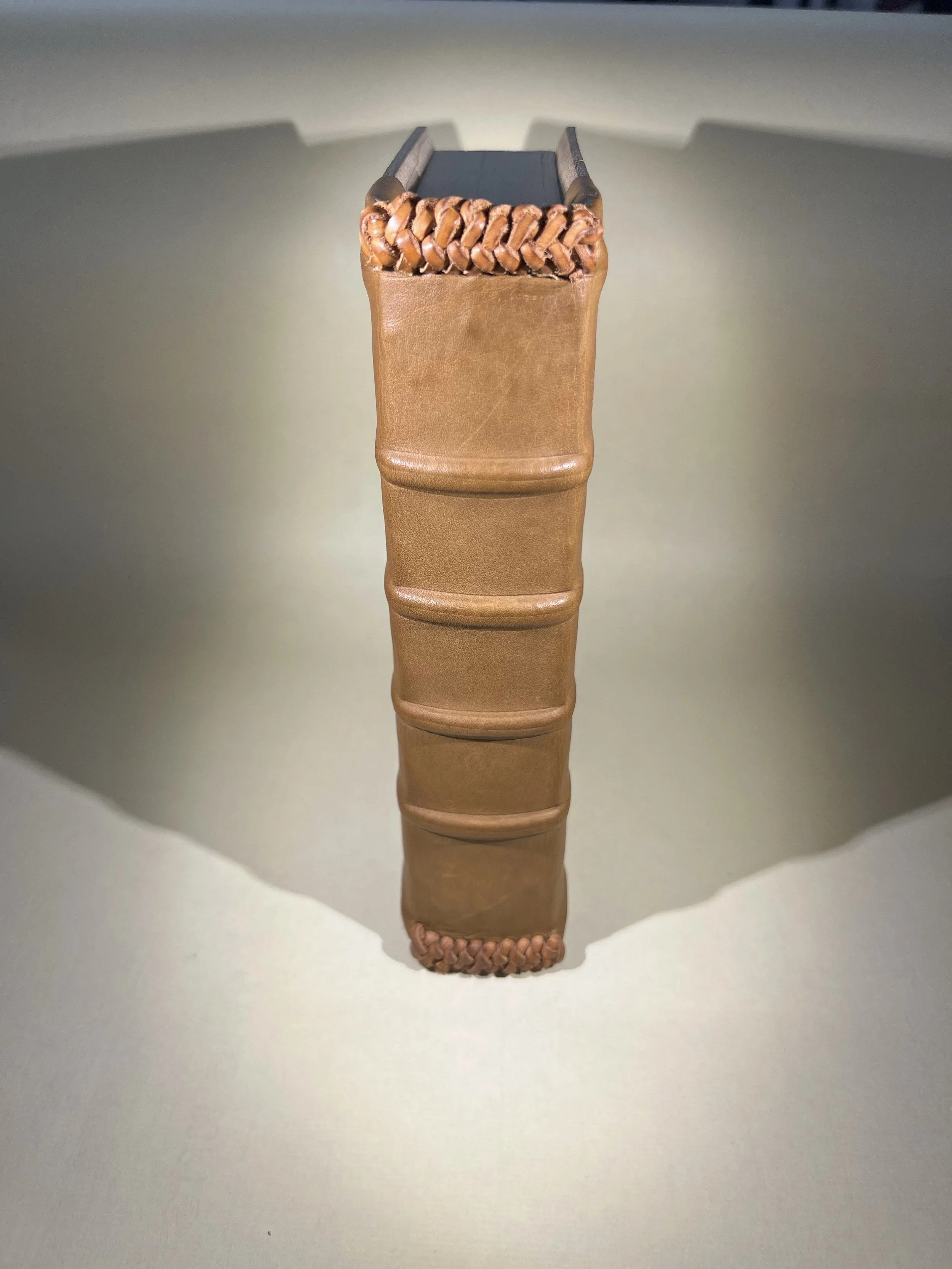 Medieval Board Spine.jpg