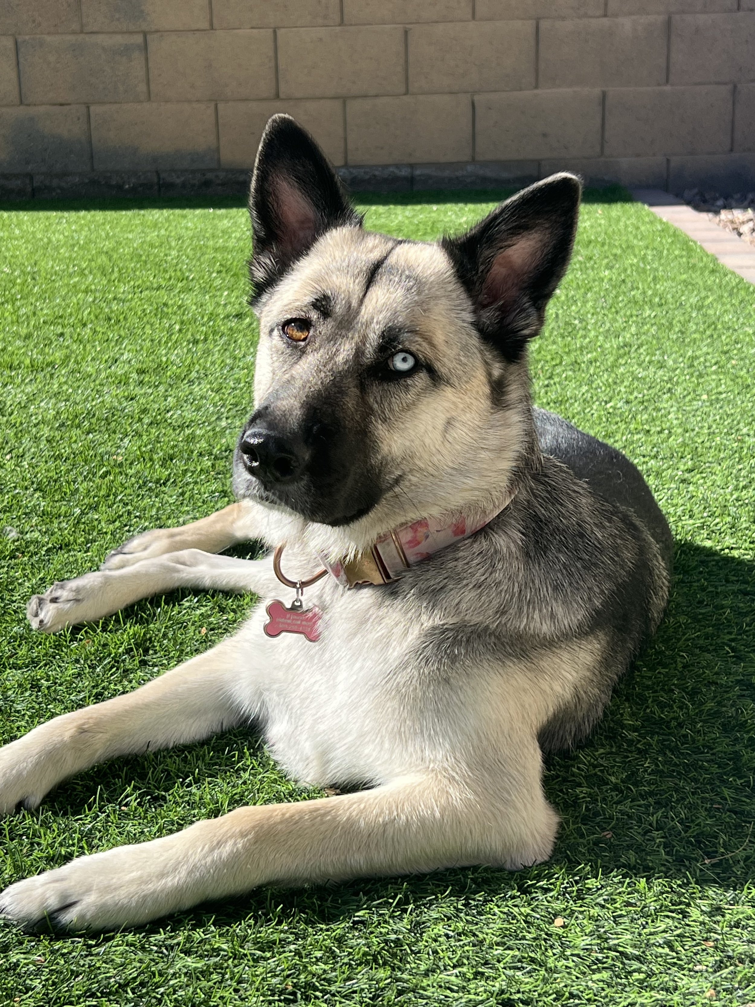 Luna