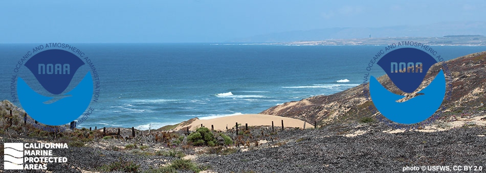 Coastal view of ocean waves near a sandy beach with rocky terrain and a distant shoreline under a cloudy sky, NOAA and California Marine Protected Areas logos overlayed.
