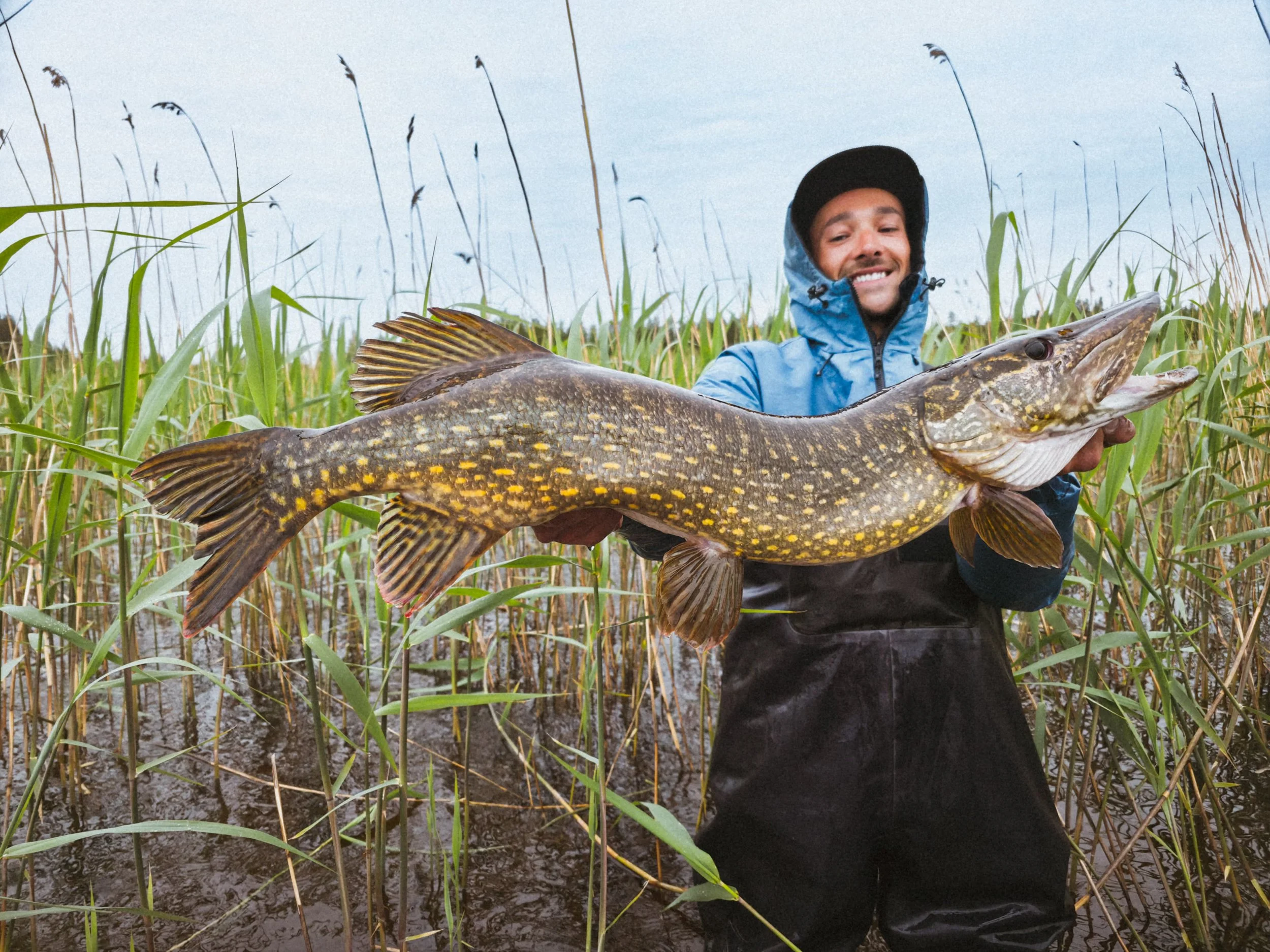 brochet du bord, lucio pesca