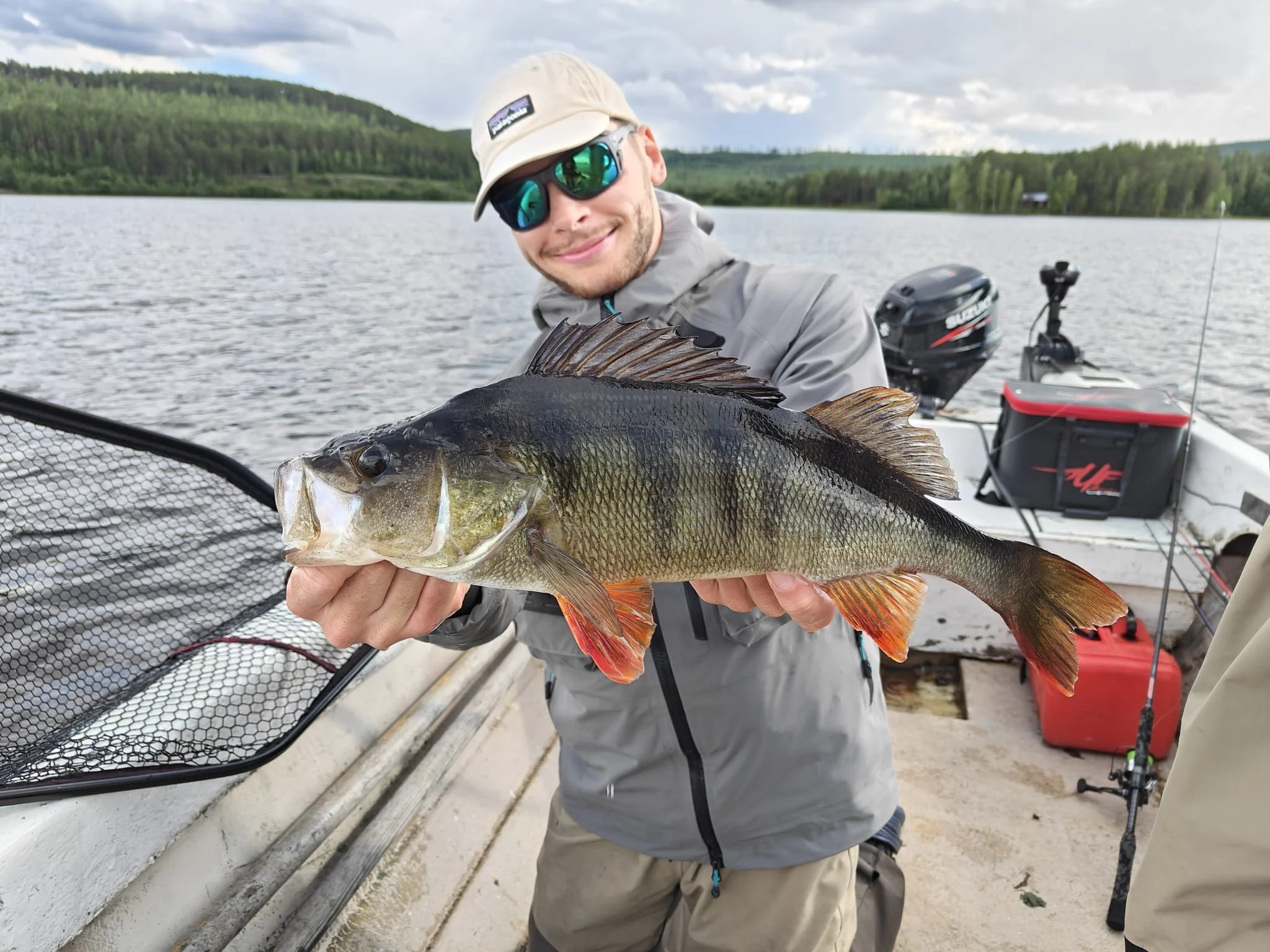 crankbait perch fishing sweden, perche laponie