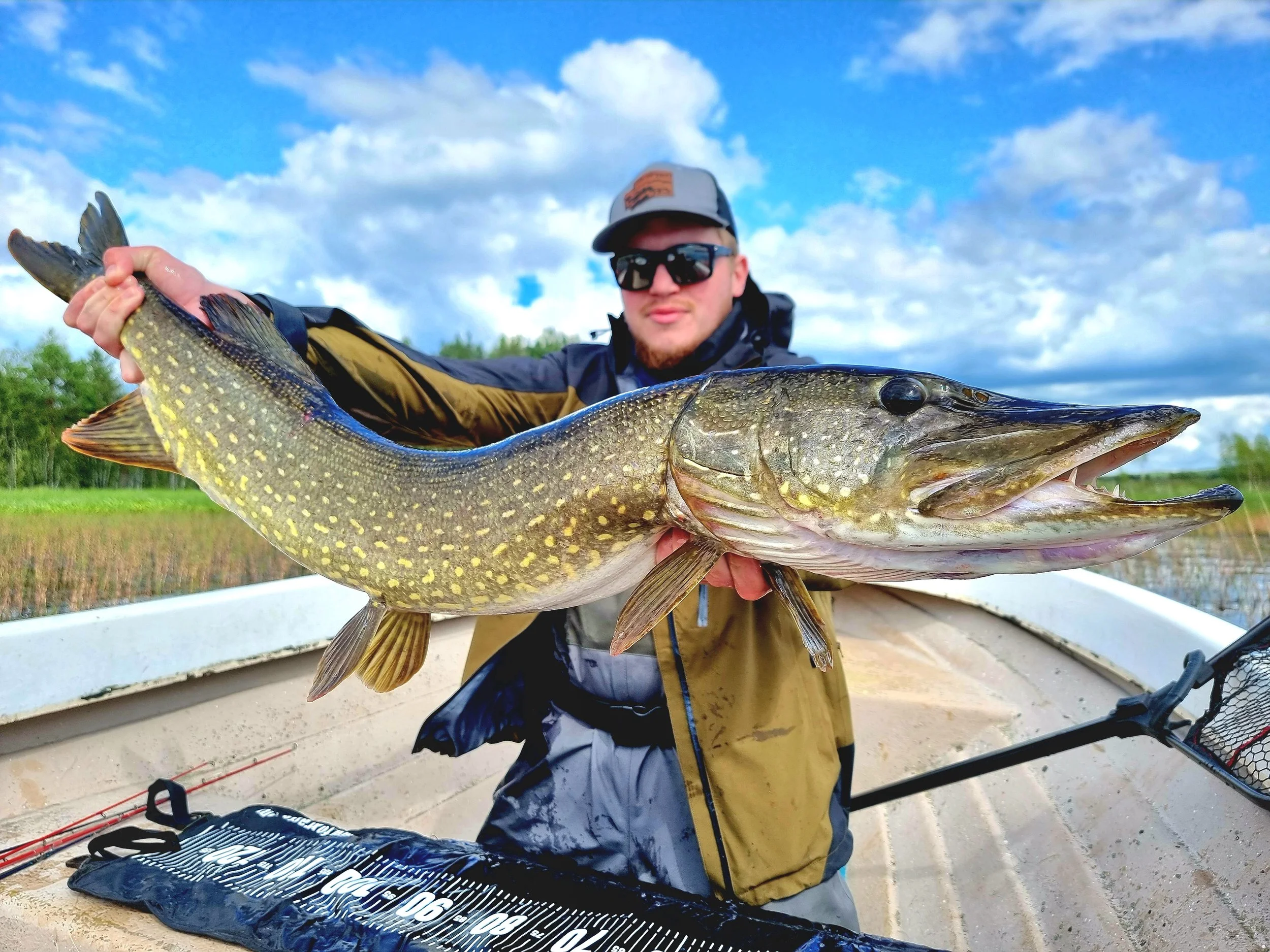 brochet miuras mouse pike