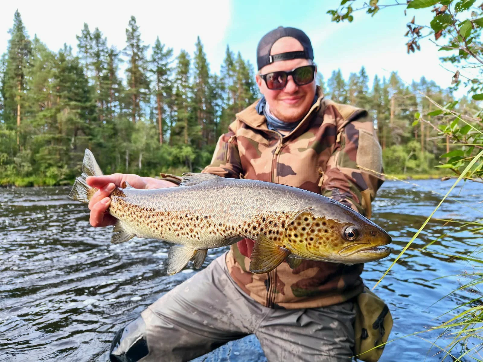 lapland trout dry fly, truite rivière laponie
