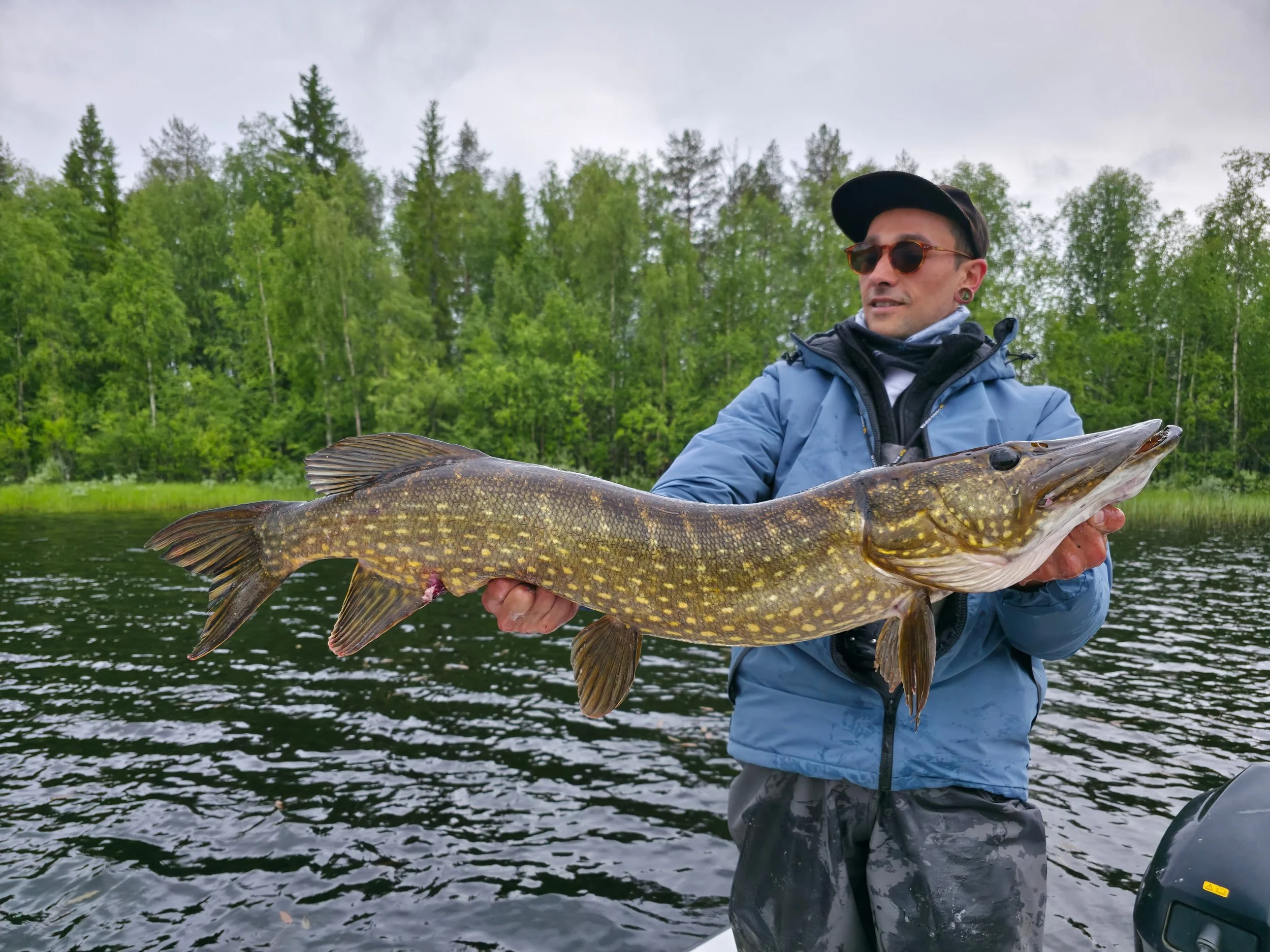 meter pike fishing, pêche gros brochet laponie