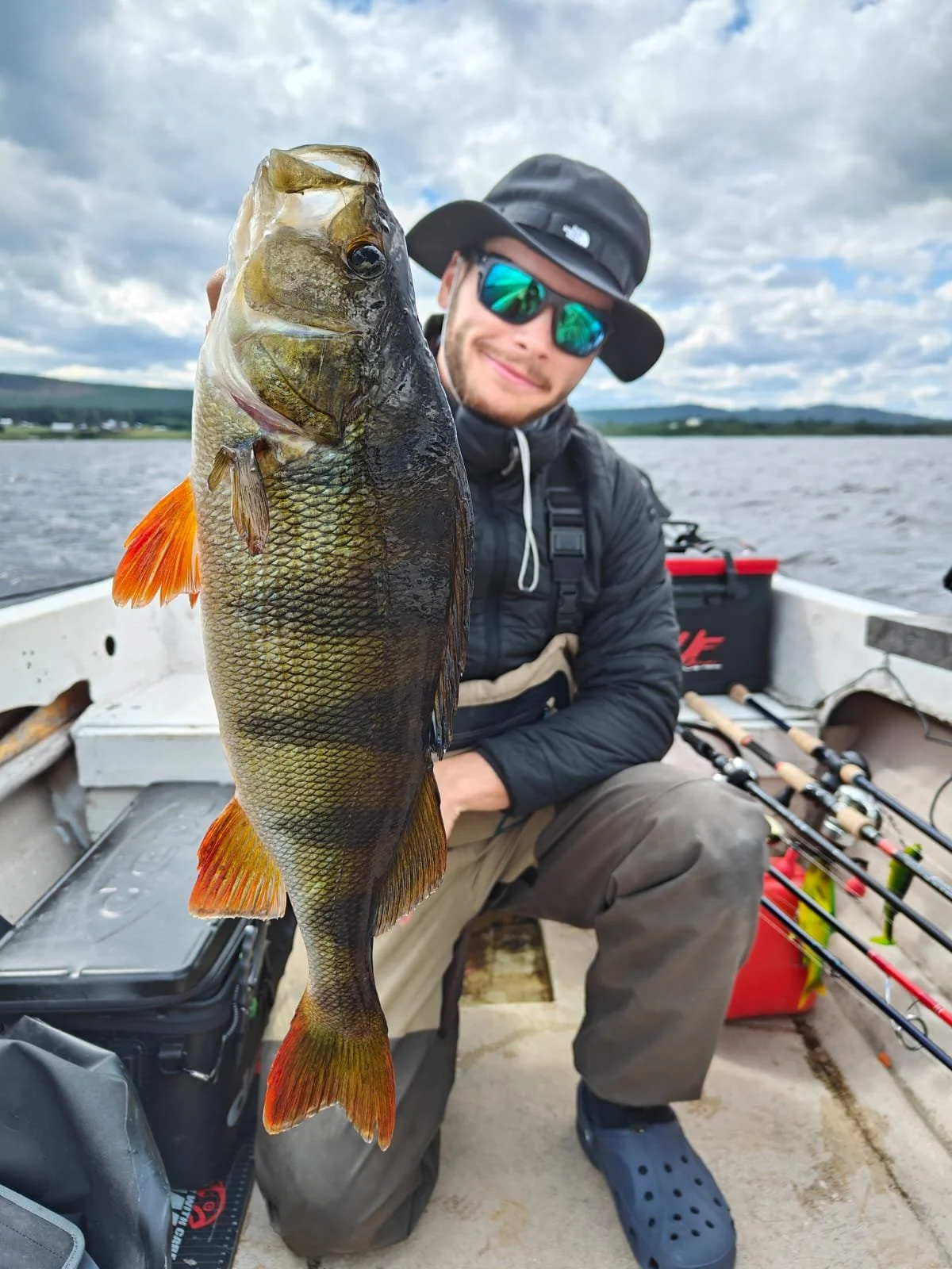abborre fiske, perca pesca, pêche perche leurre