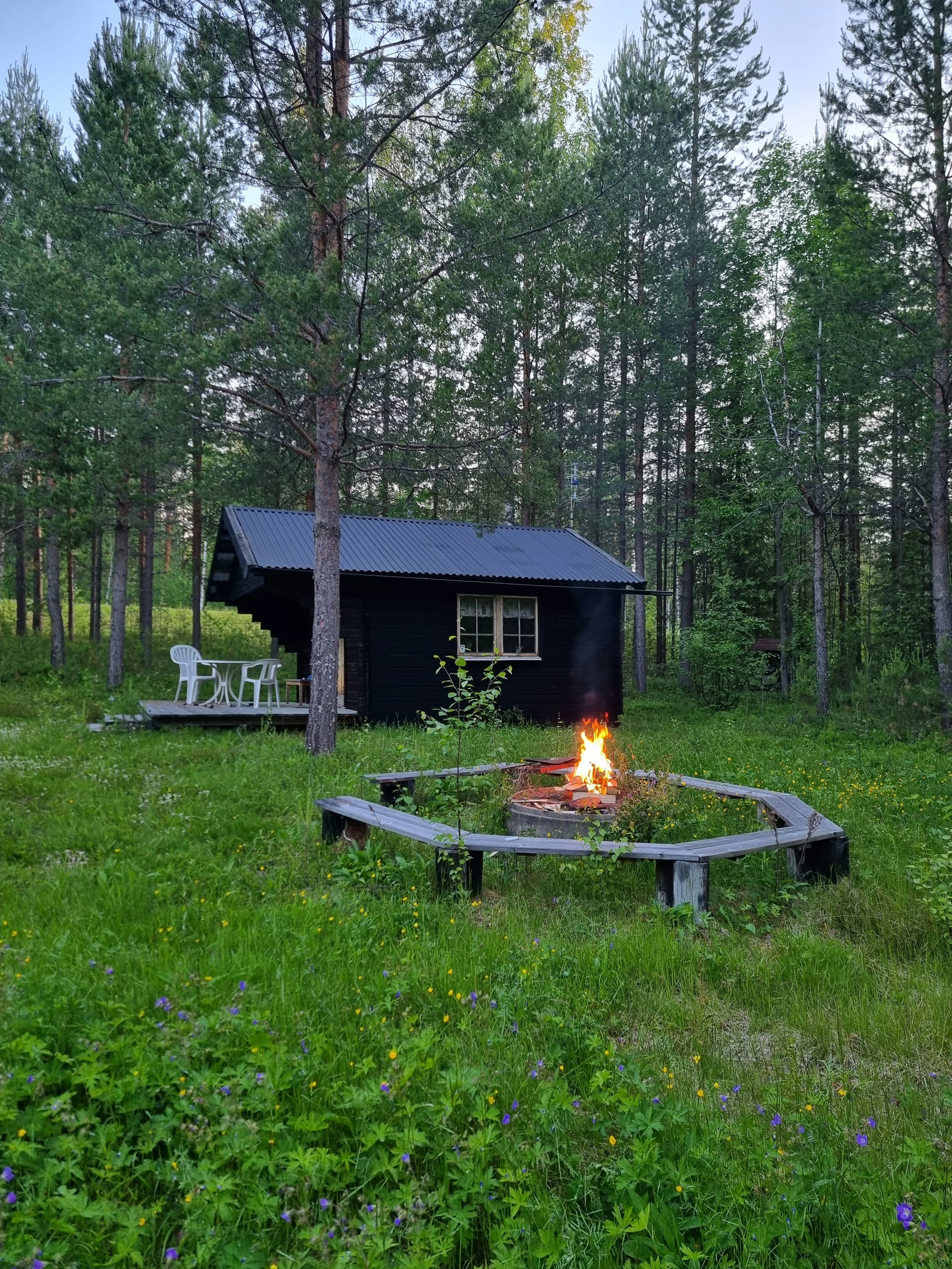 Caban in the wood with campfire