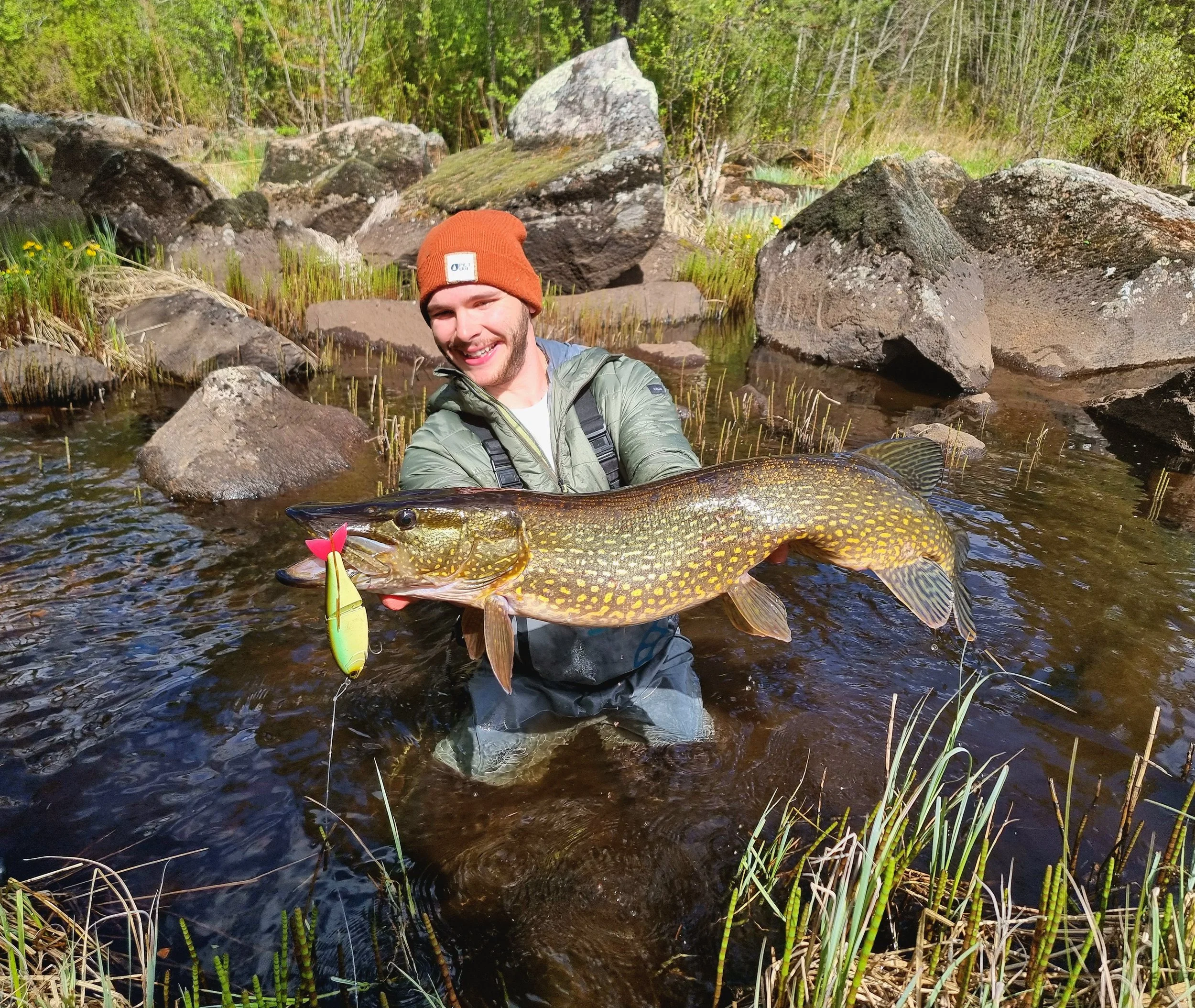 brochet swimbait, wading pike