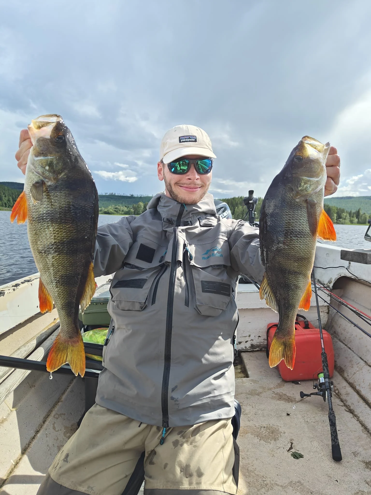 grosse perche laponie suède, big swedish perch fishing