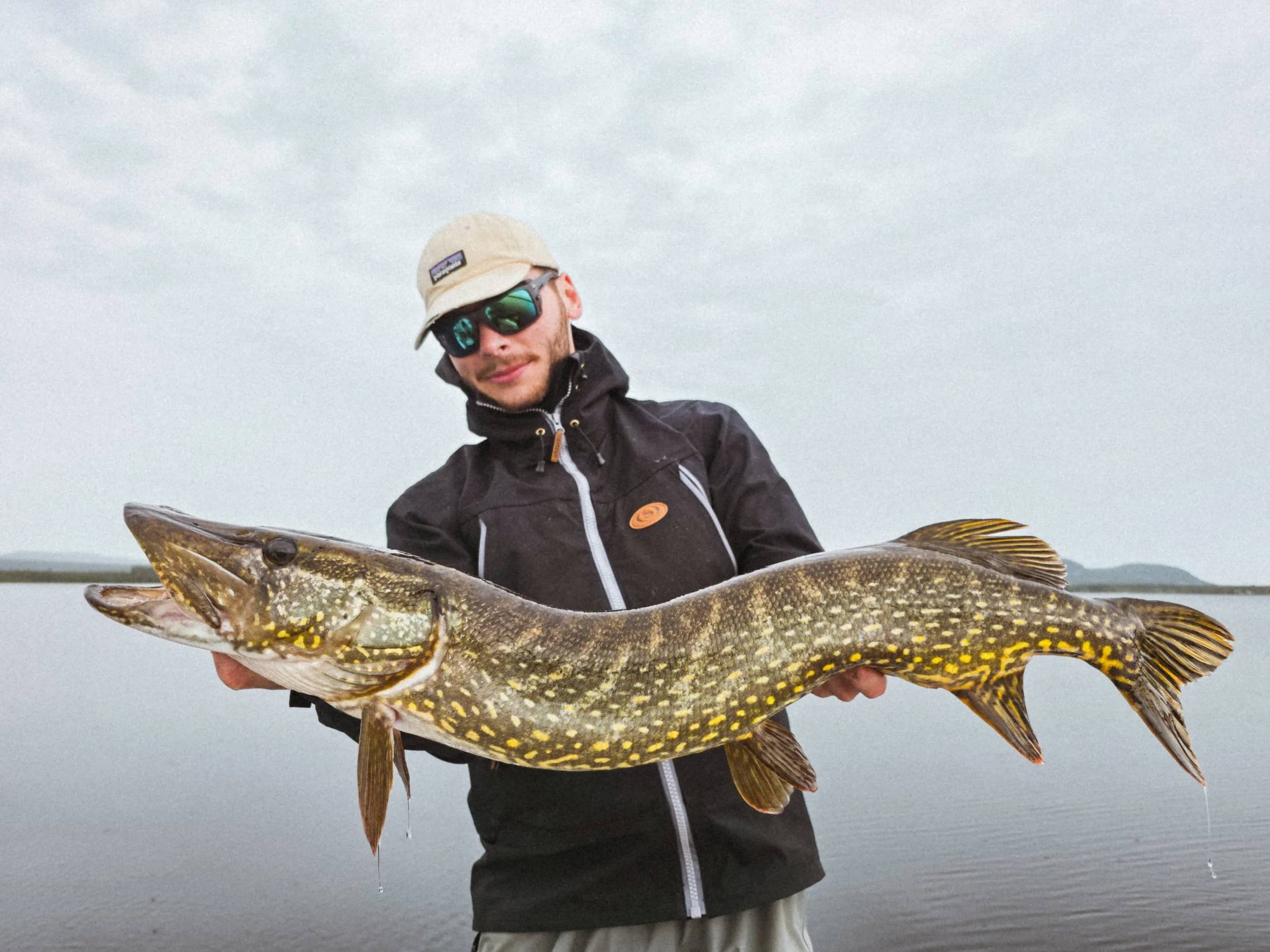 brochet au swimbait, gädda lapland