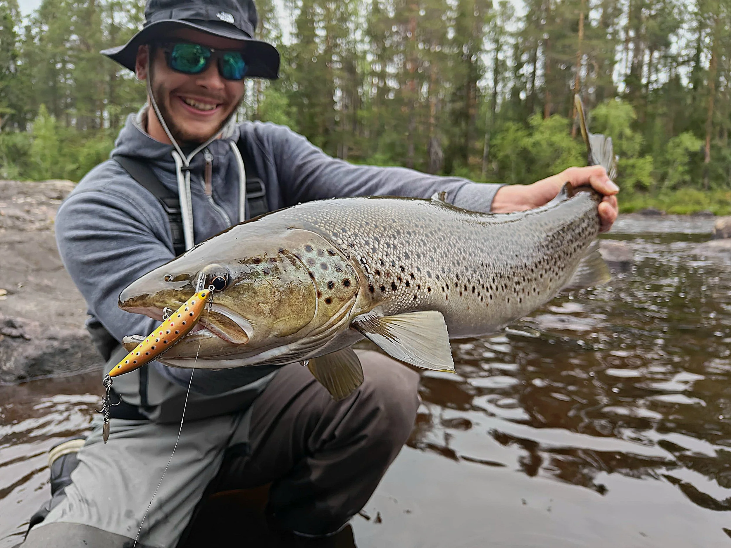 sea trout spinning, havsöring, voyage pêche truite laponie