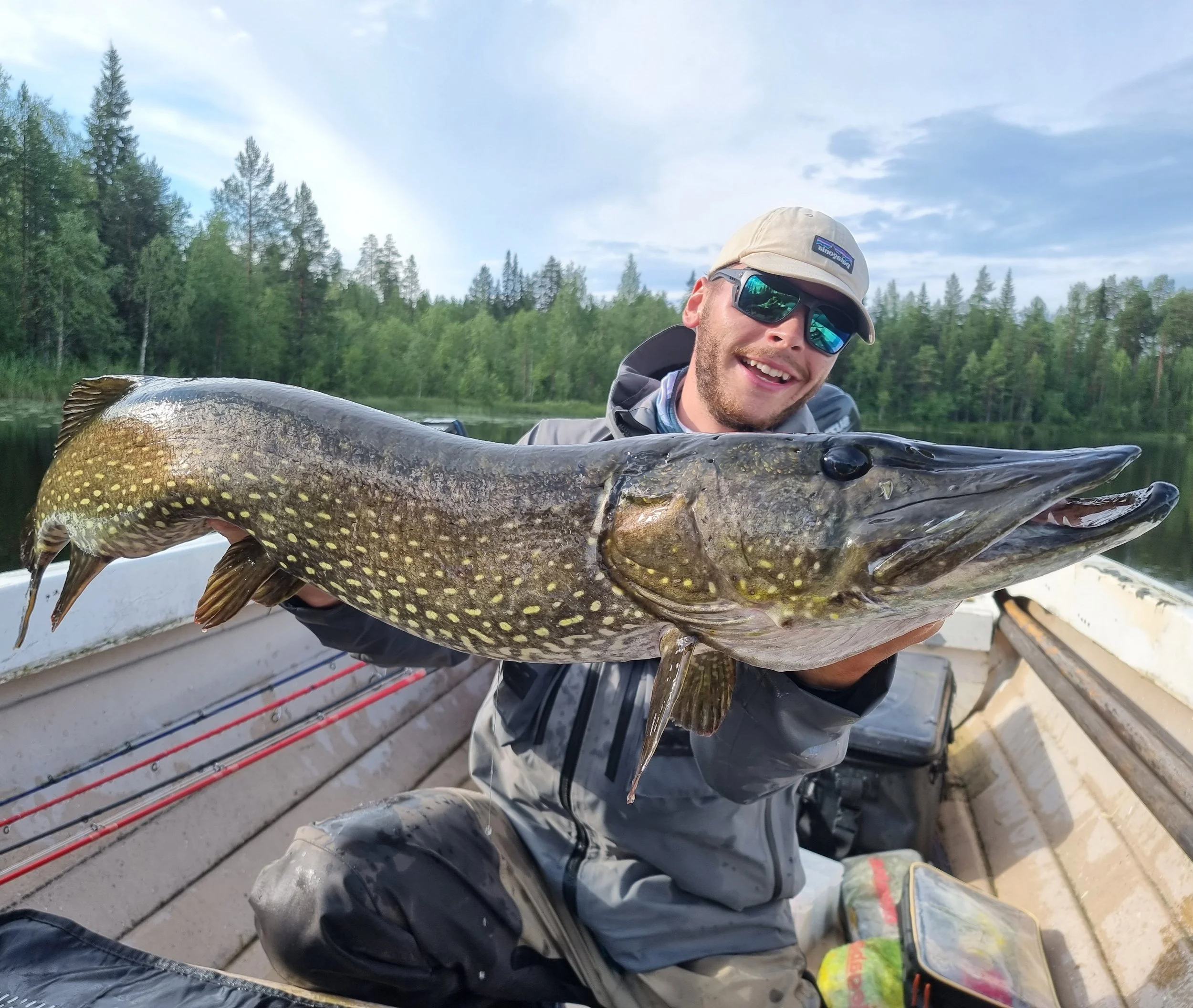 lapland pike, gädda norrbotten