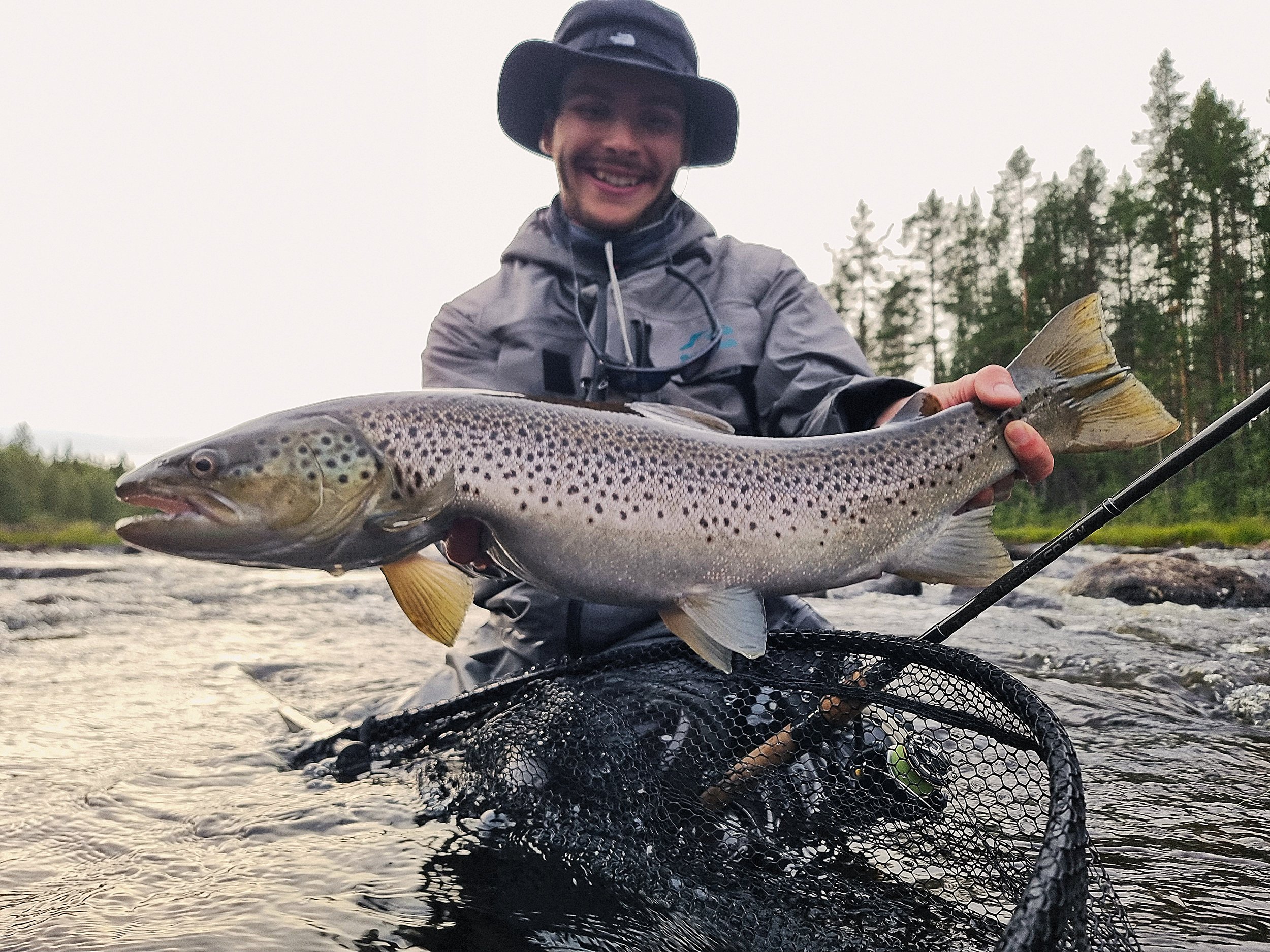 truite de mer leurre suède, swedish trout, öring fiske