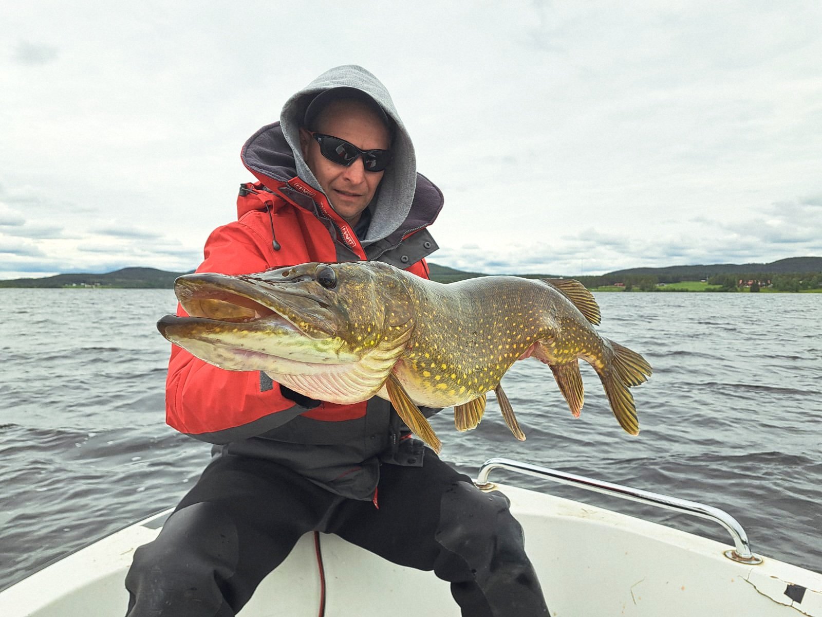 meter pike on bait, gros brochet au leurre
