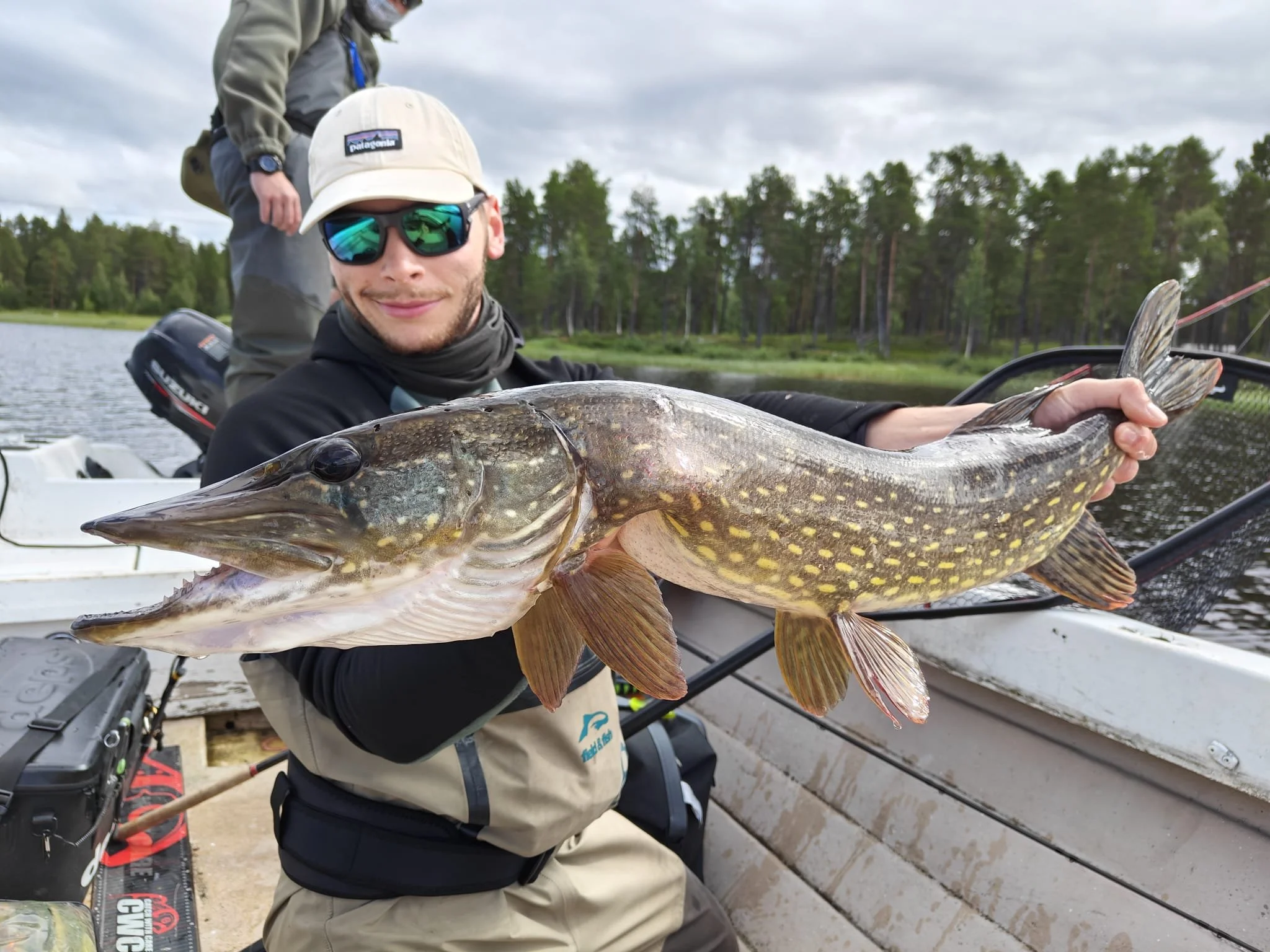 shallow water gädda