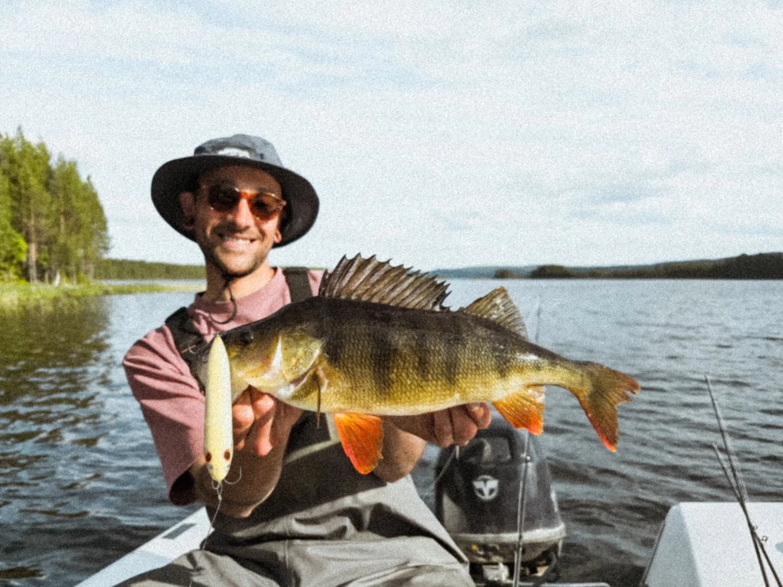 A man in outdoor gear holding a large perch in a lake with fir trees in background.
