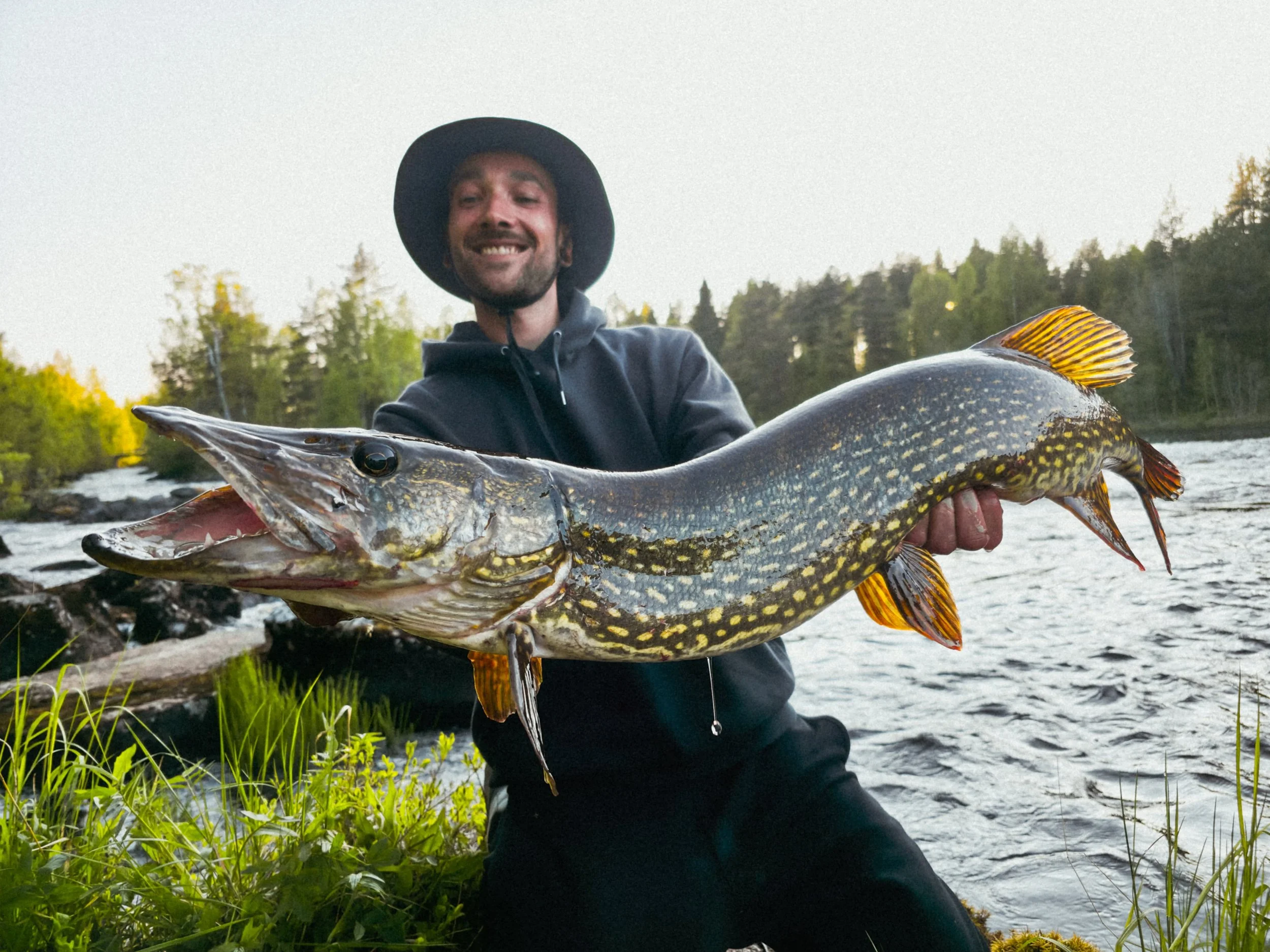 big river pike, pêche gros brochet rivière